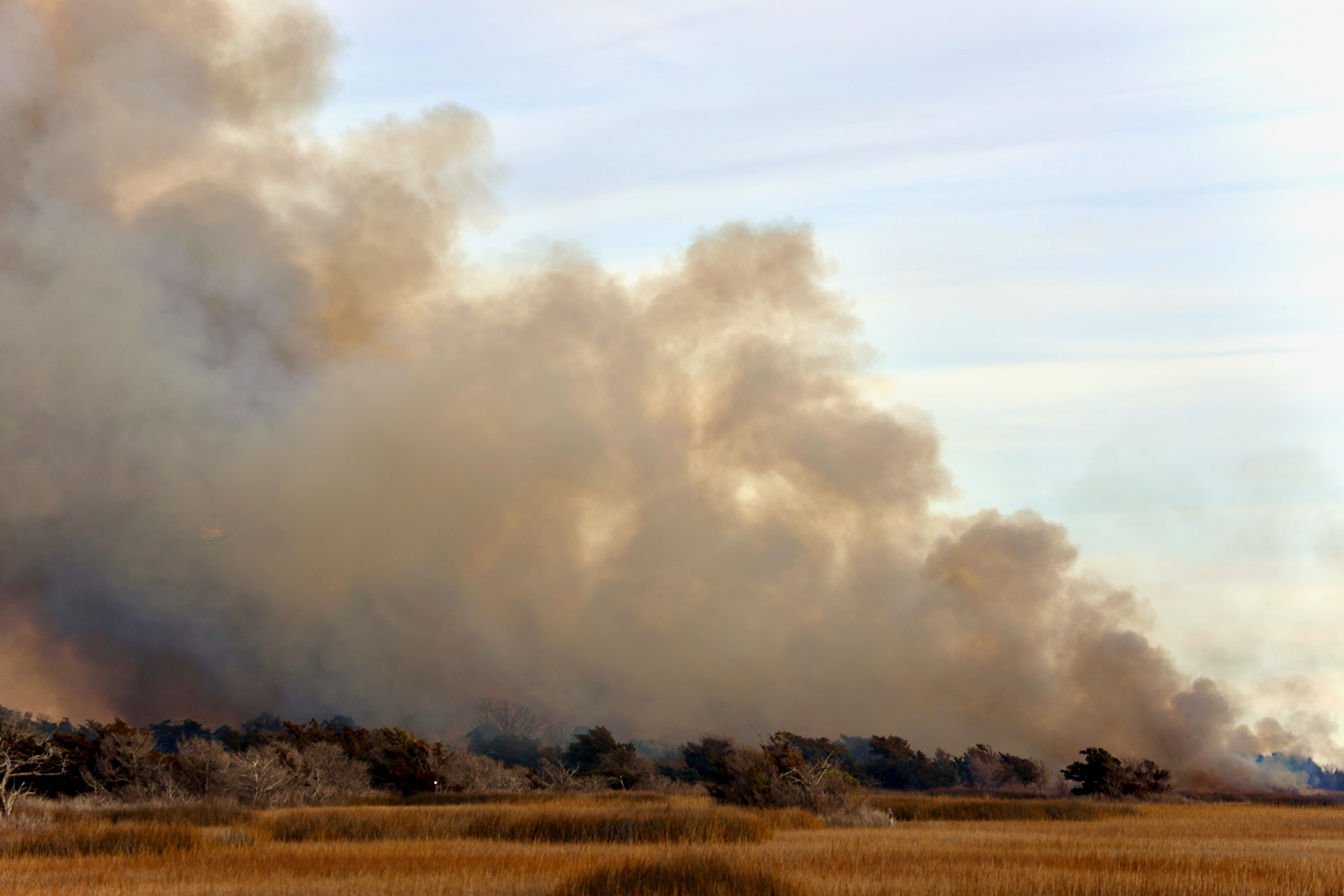 All-Day. Sonny Photos