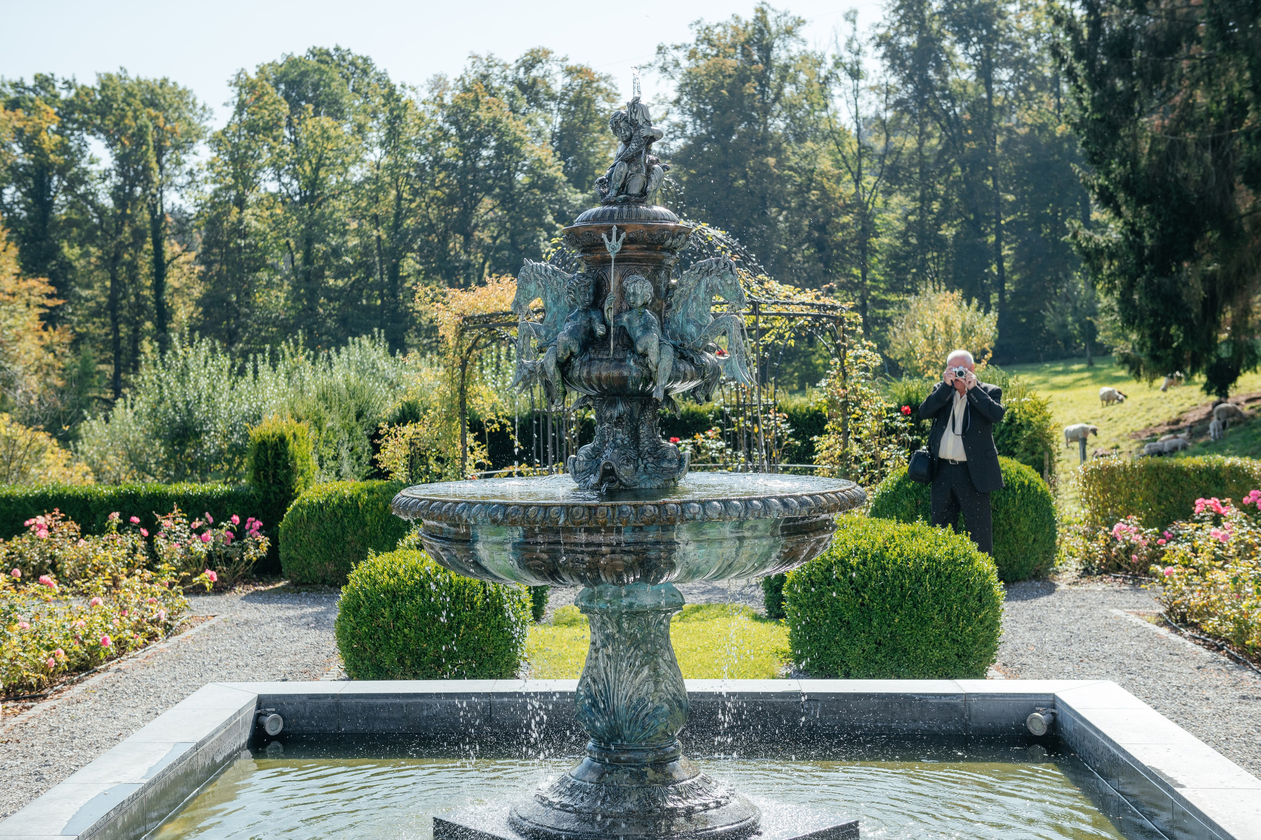 FLORENCE & JAMAL Dübendorf, Switzerland. I am Elena Altendorfer. Wedding photographer in Zurich and Switzerland