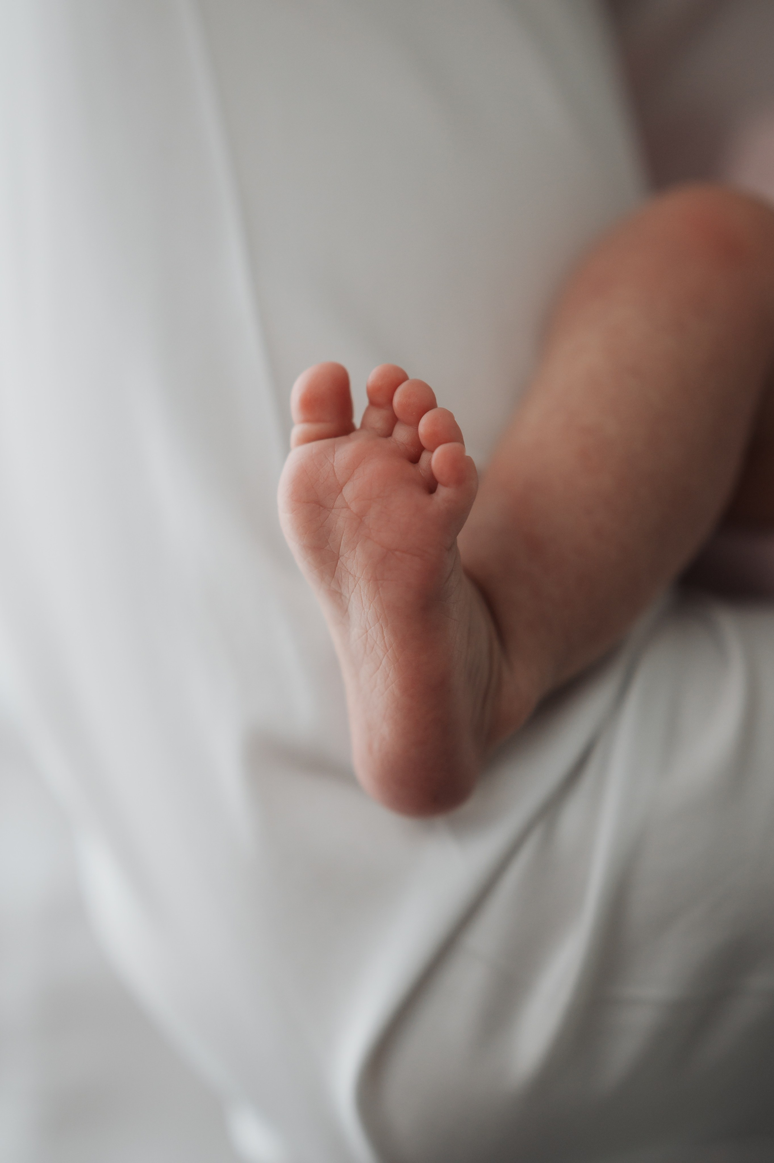 Tamara’s New Born Photoshoot