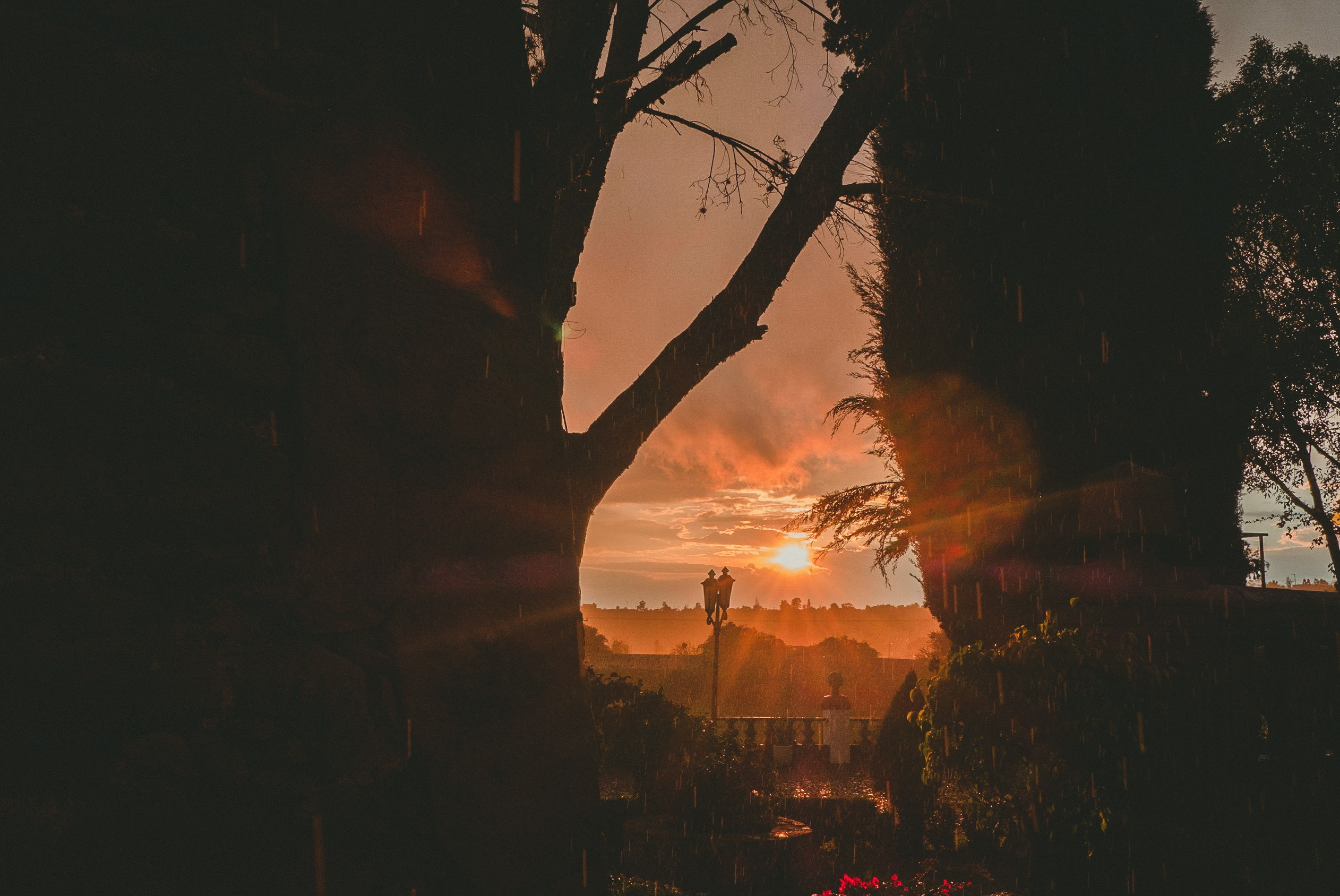 Diana y Saul. Wedding and family photographer in Mexico City