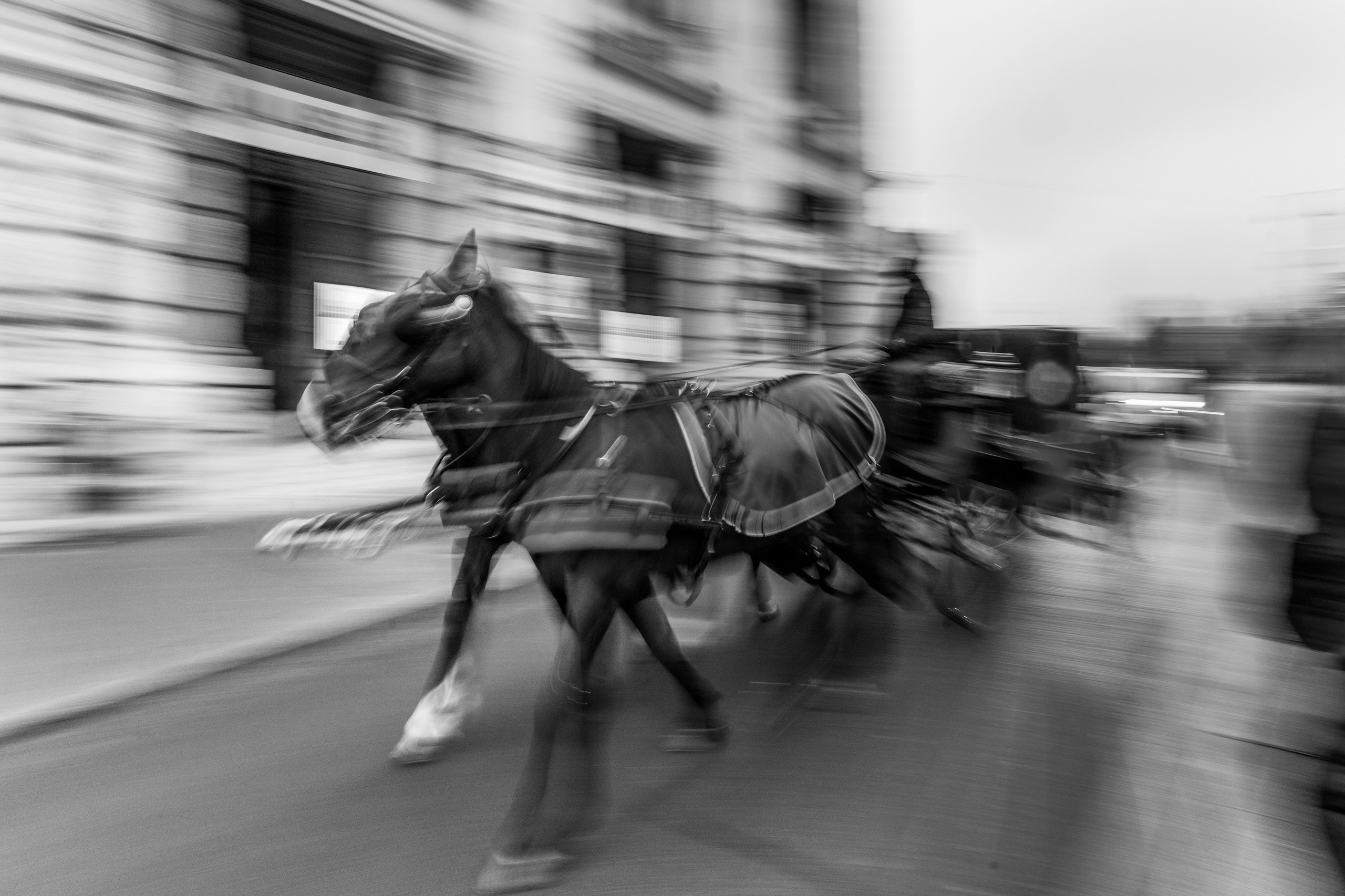 Street & Documentary. Cosmin Neață | Fotograf & Videograf Timișoara