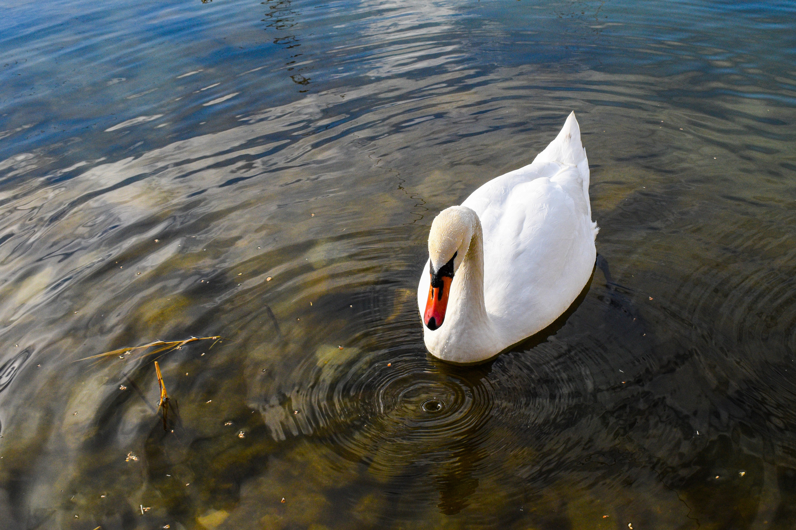 Nature❤️. Adelinne