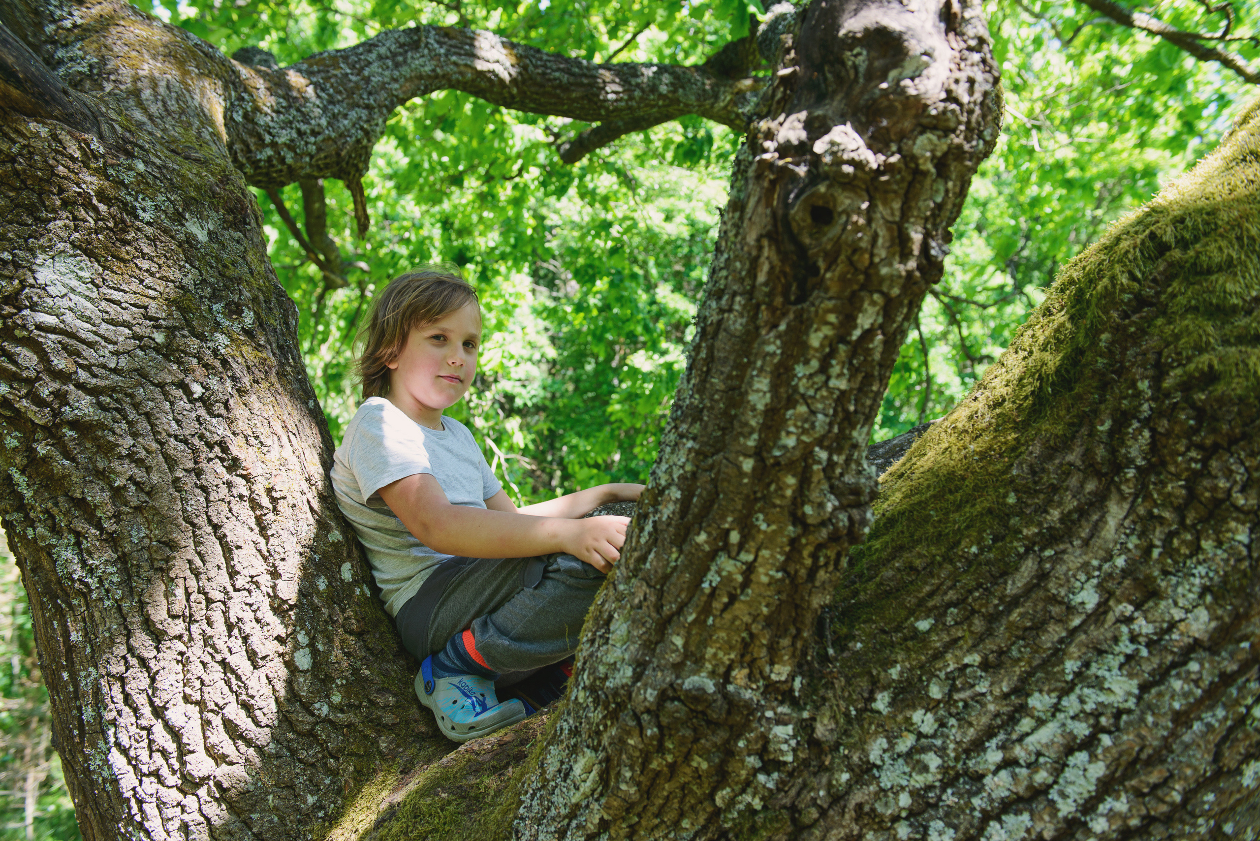 Family and children’s photography