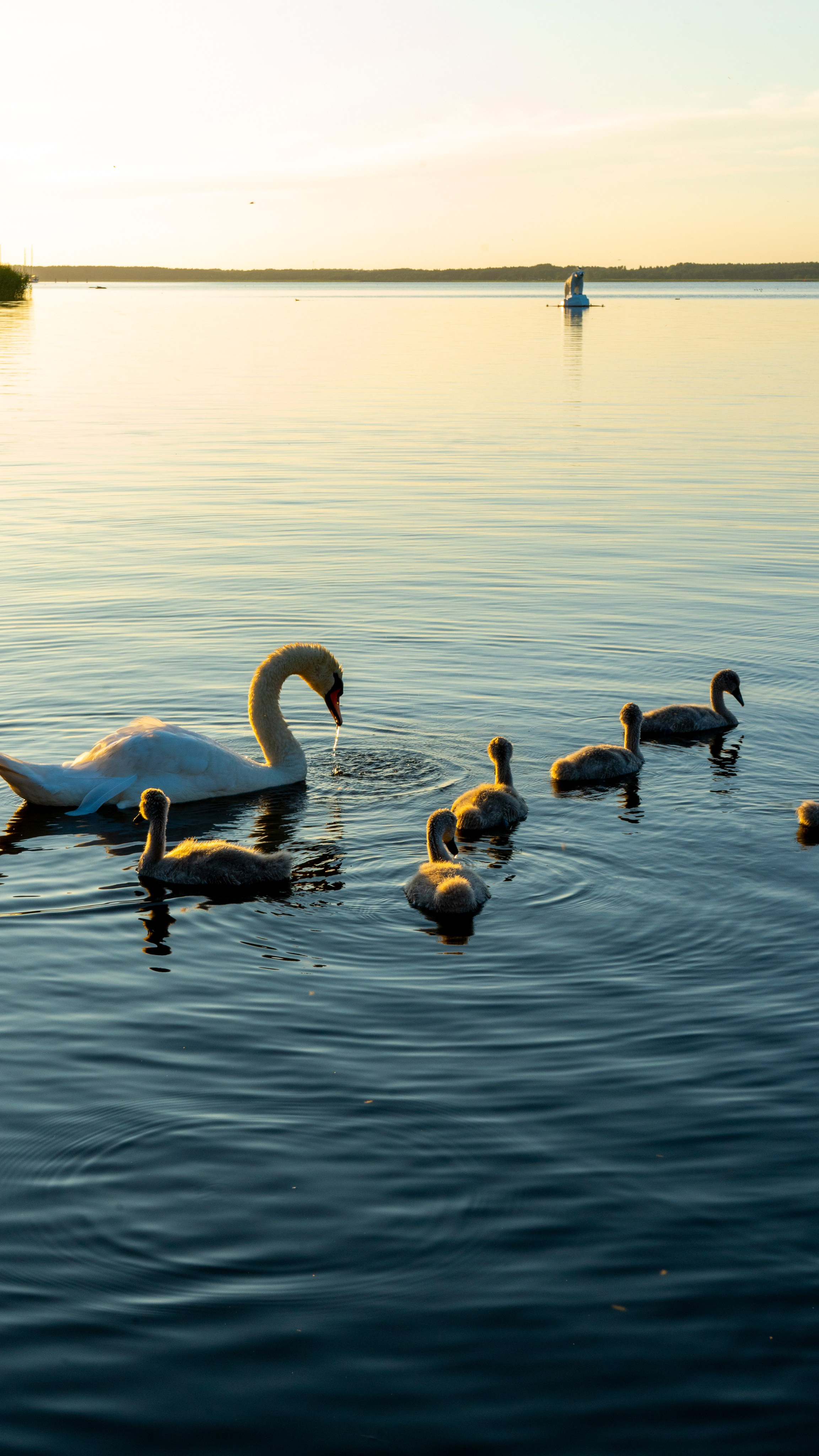 Whispers of Estonia. Photography | Videography | Marketing