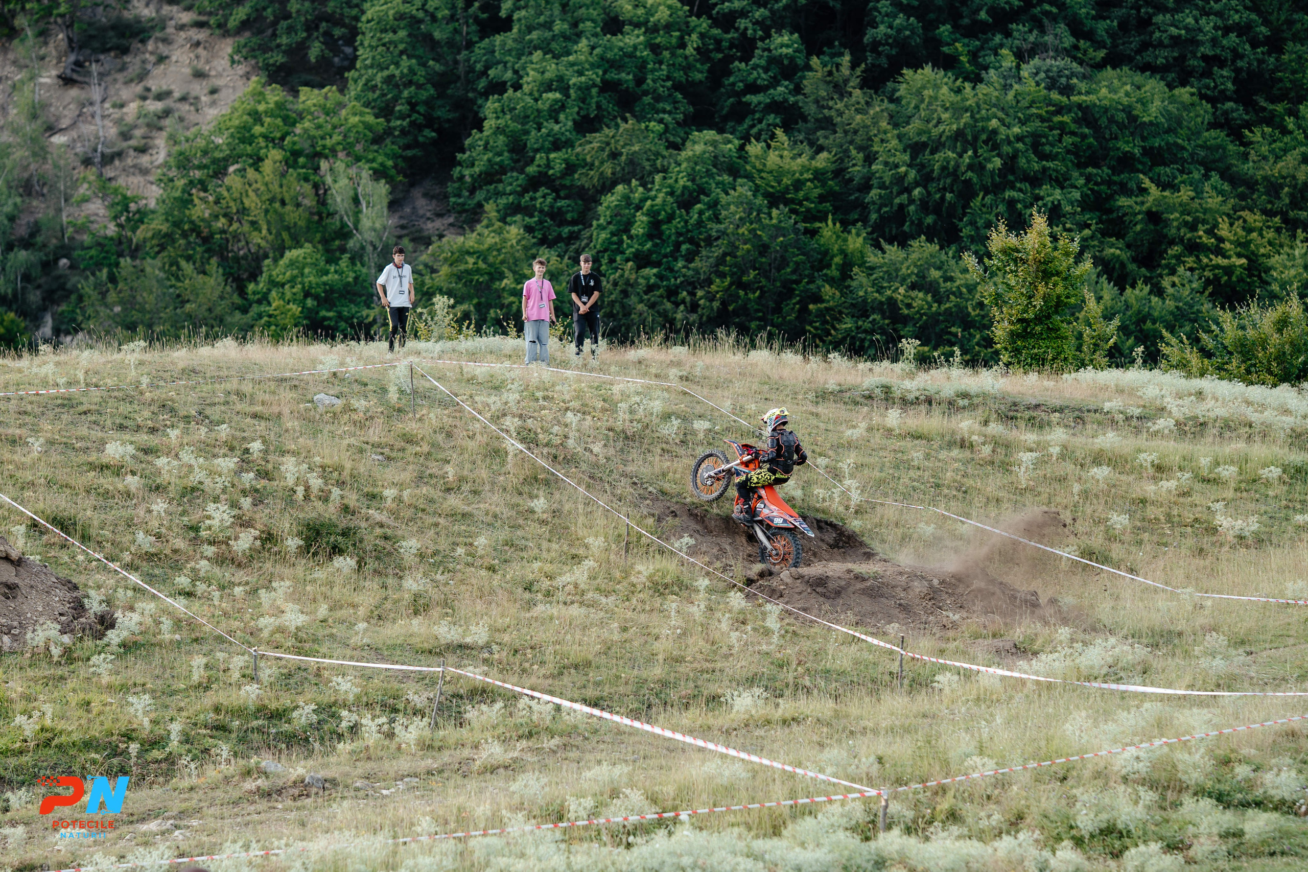 Potecile Naturii 2025. Raw Studio. Fotograful tau de nunta!