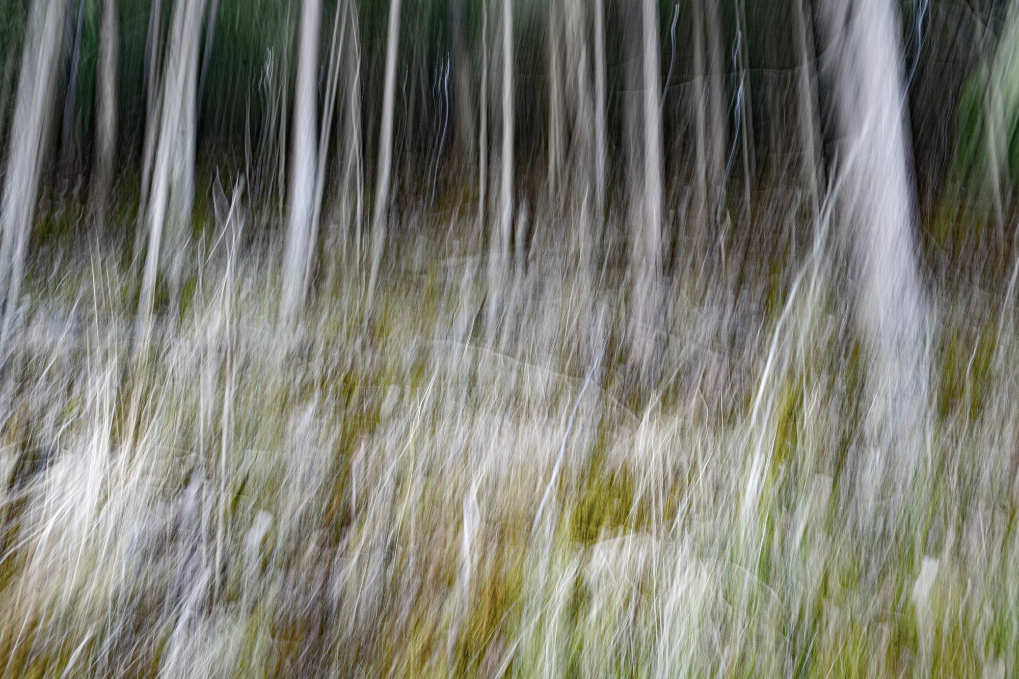 Портфолио. Оксана Жила, Фотограф, визуальный артист, Финляндия