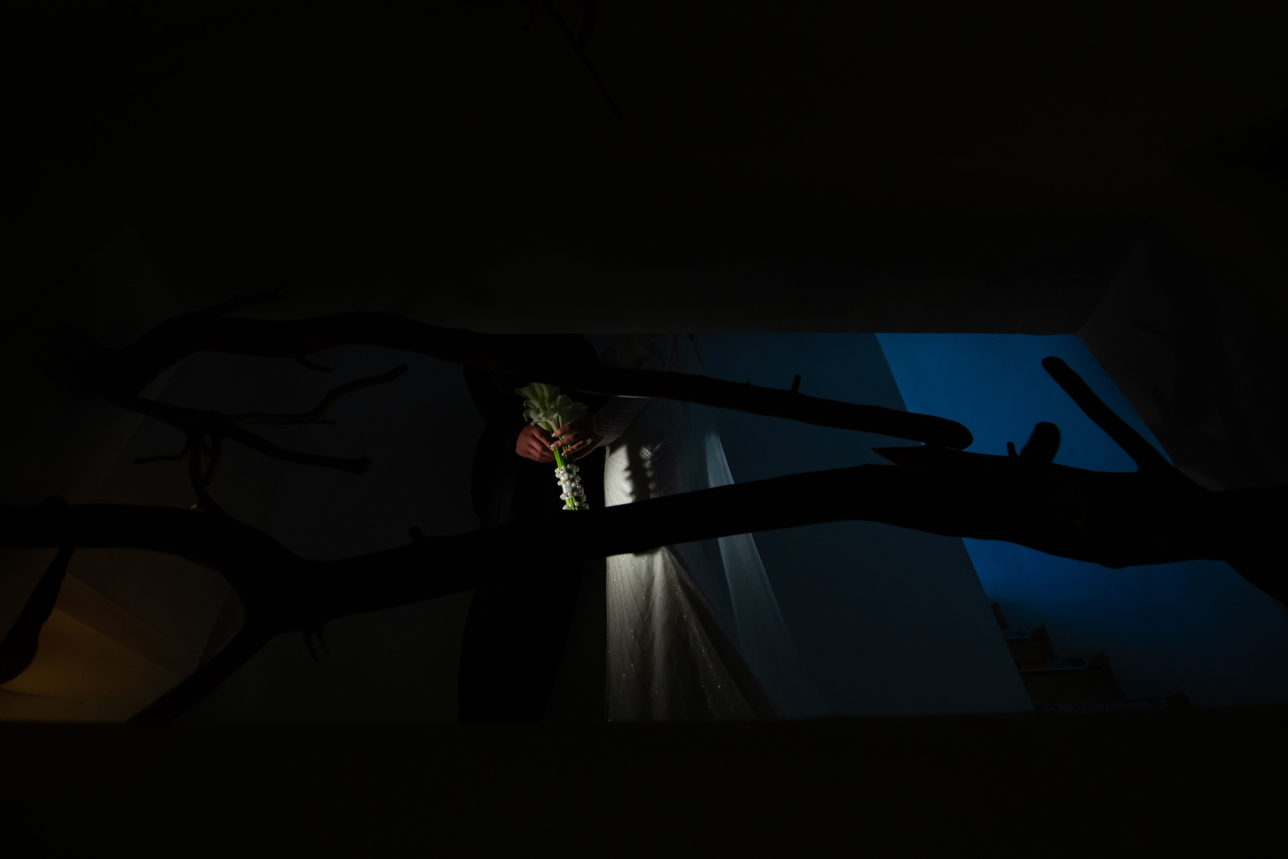 Weddings. Foto / Video nunta Deva, Hunedoara