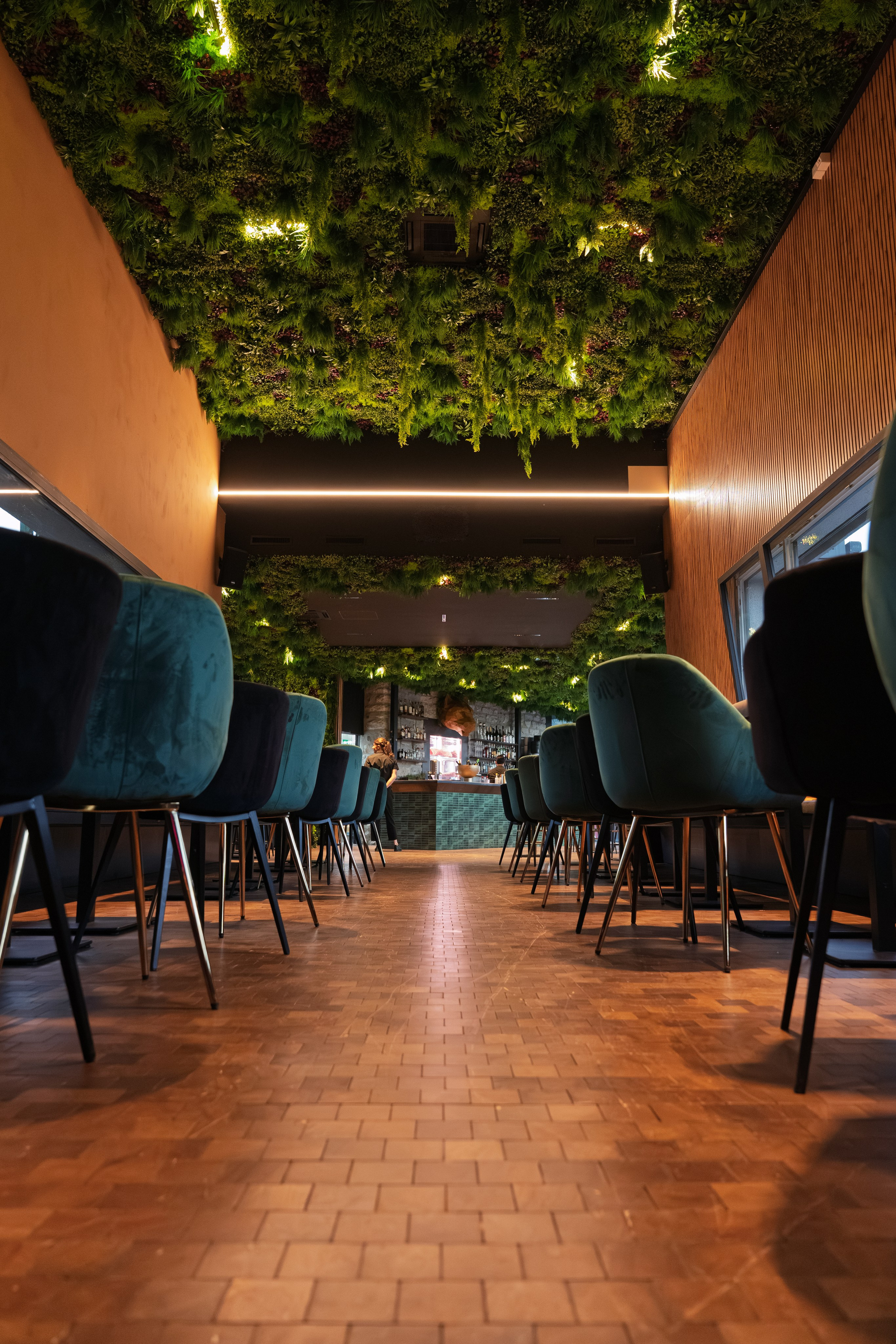 Ouverture du restaurant-club « Instinct  Amazonia » Sion. Photographe Suisse Tatiana Lyzhina