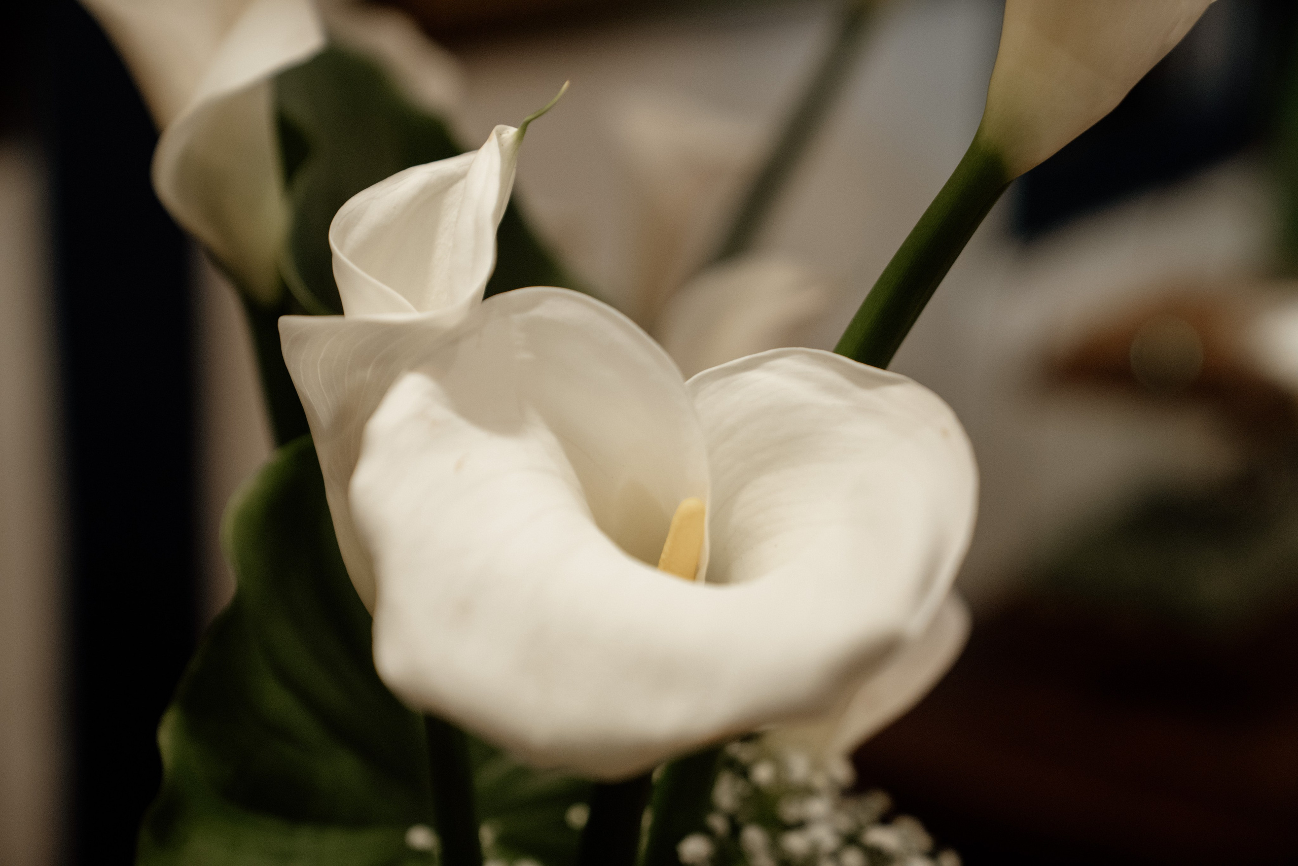 Clarice & Caio. Congiu Wedding