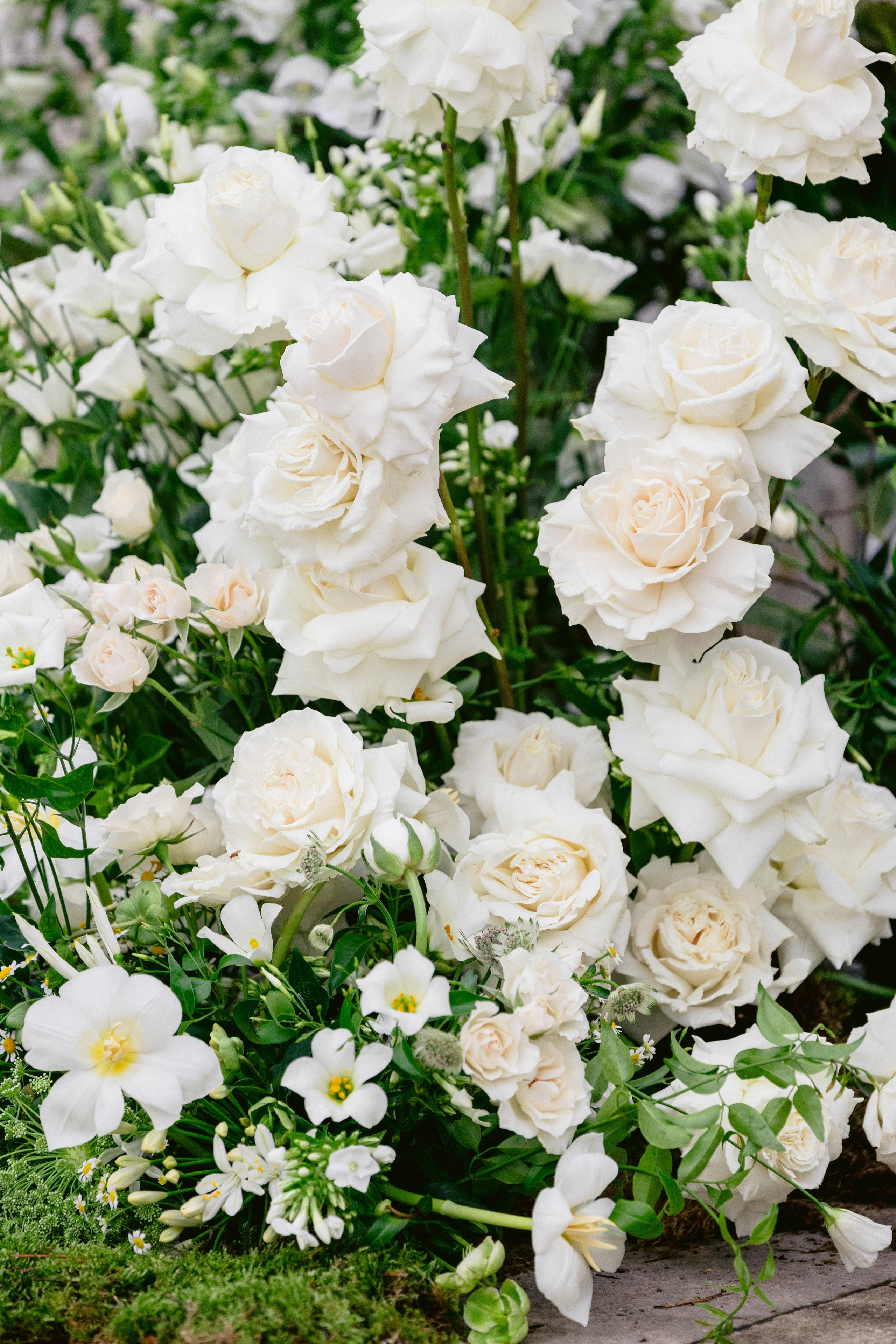 Editorial Château de Champlâtreux | Paris