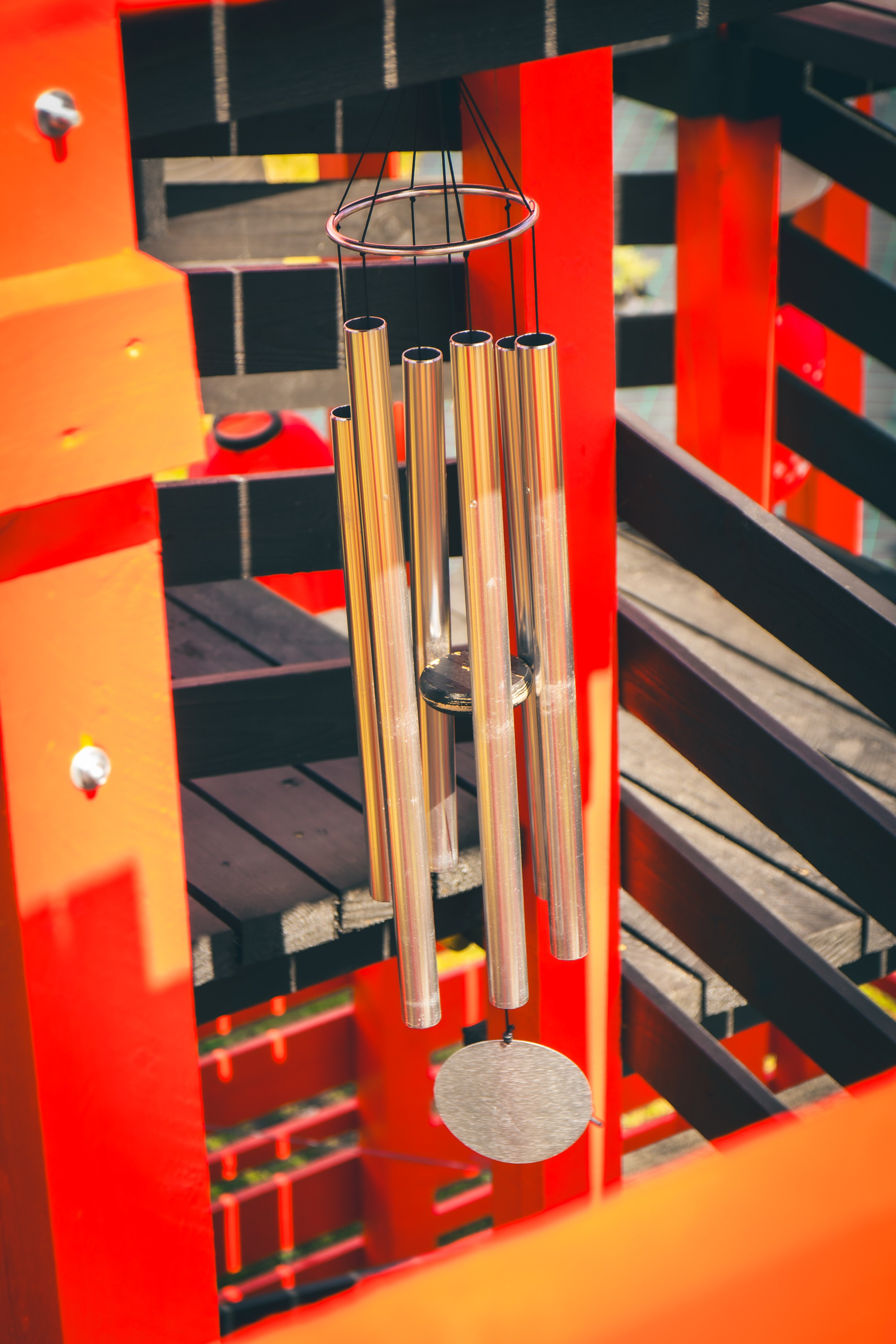 Saarema, reis. Nebula 25 — Fotod teie hingele