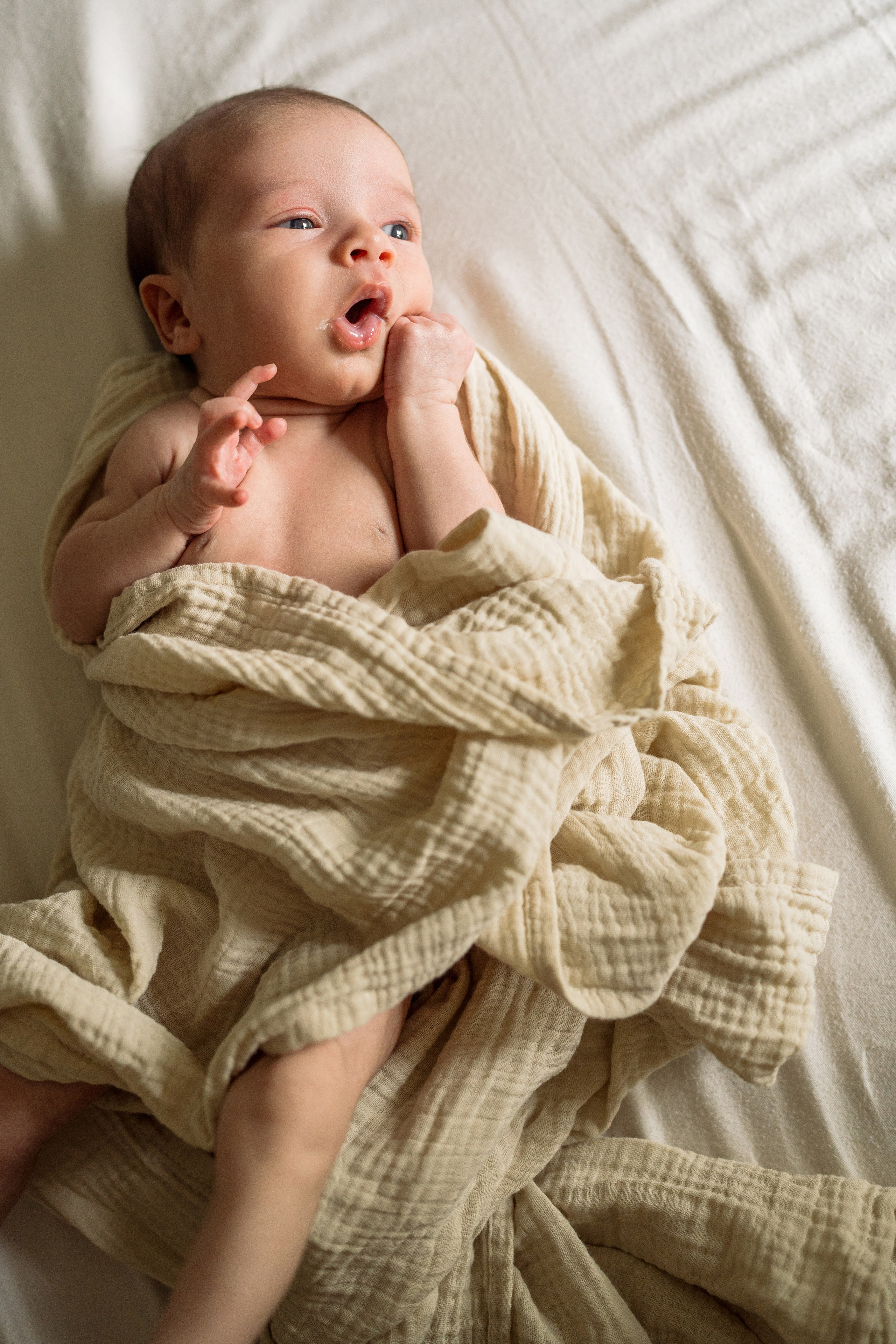 Minimalist Newborn Photography – Timeless & Elegant. Alisa Tant — Family and newborn photographer Bucks County, Montgomery county, Philadelphia, NJ