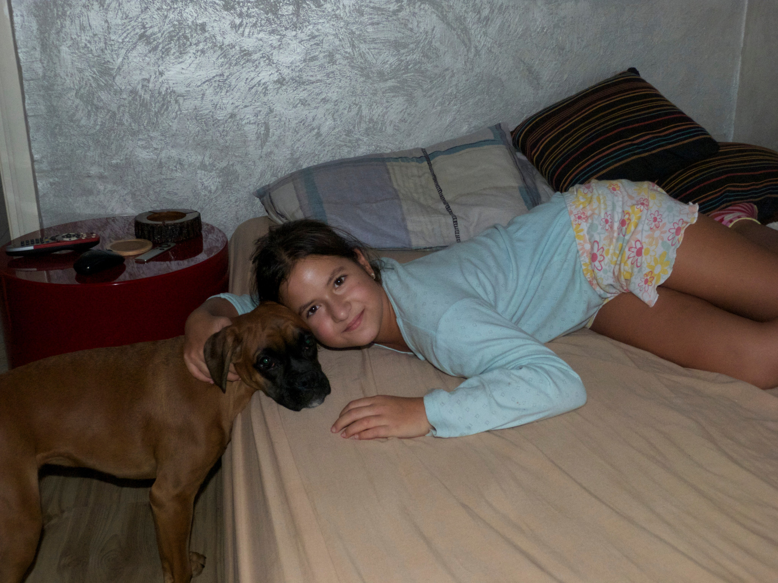 My ״Star״ Boxer Dog