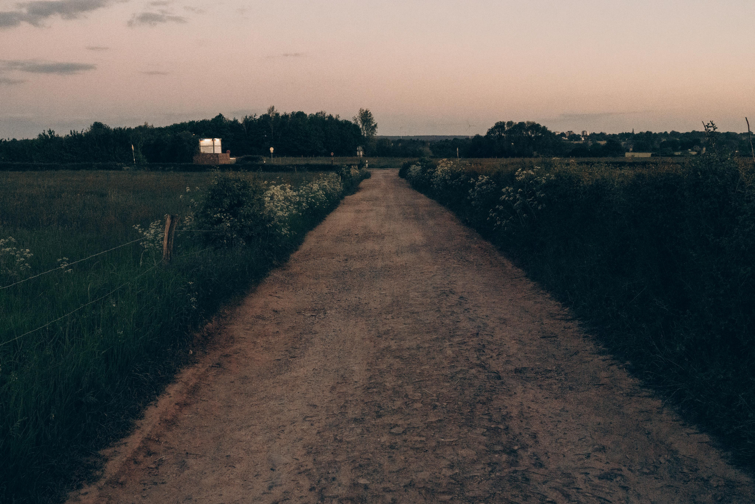 Lorenza & Jeroen. Fotografie und Henna Kunst in Köln — Sylvette Loda