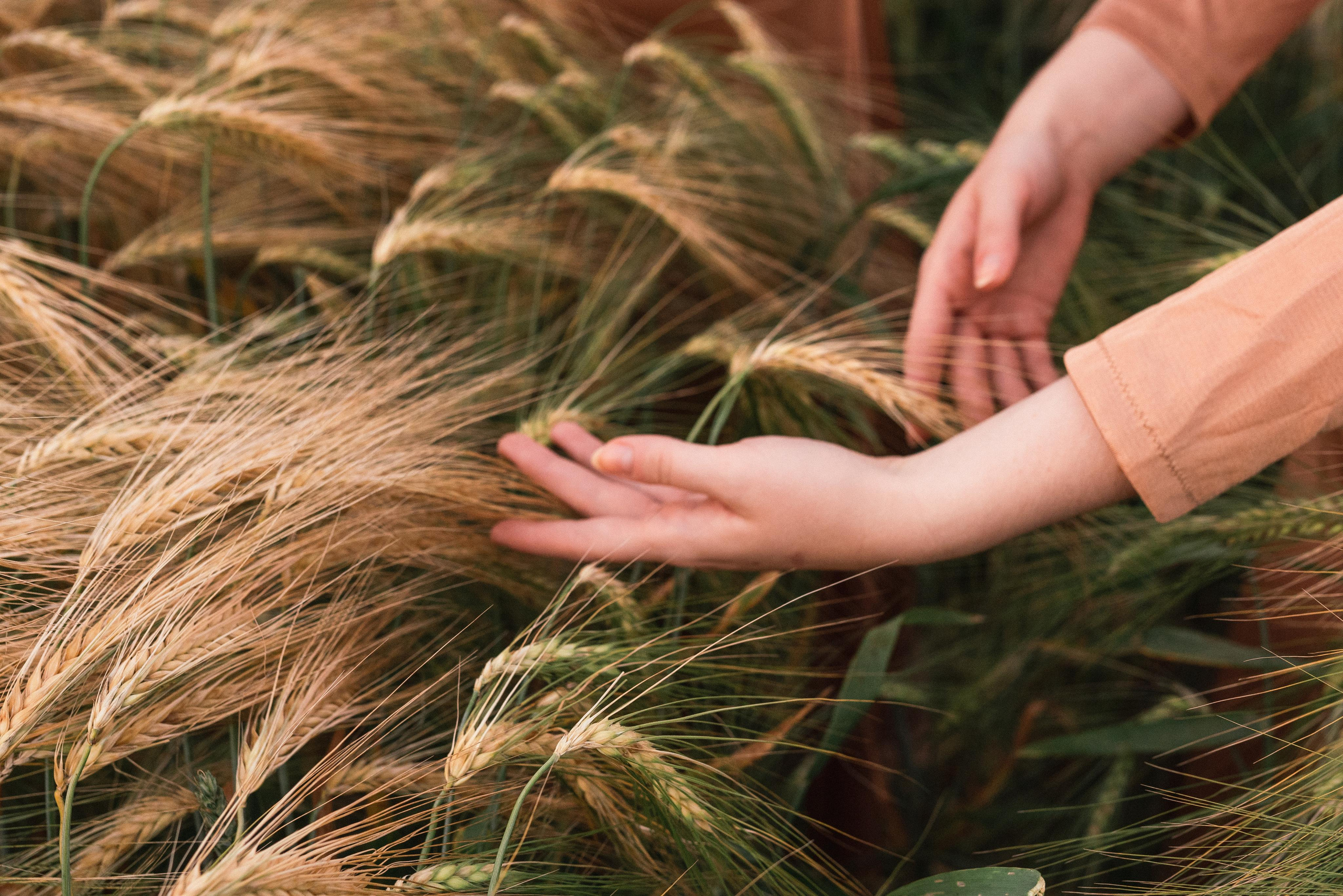 Sunset with Ballett Releve. Fotografie und Henna Kunst in Köln — Sylvette Loda