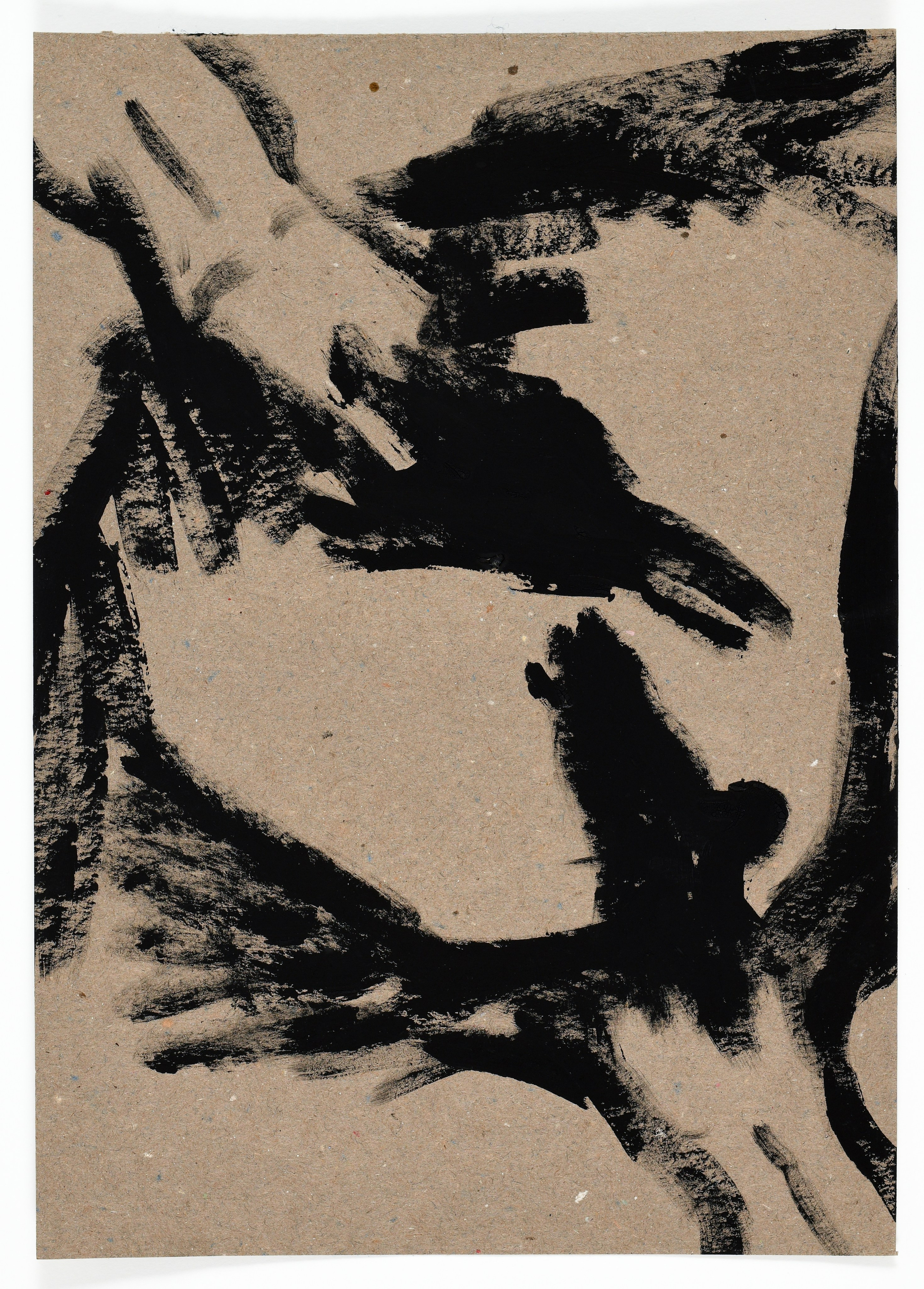 Birds and rats, 2020. Haim Sokol’s artists website