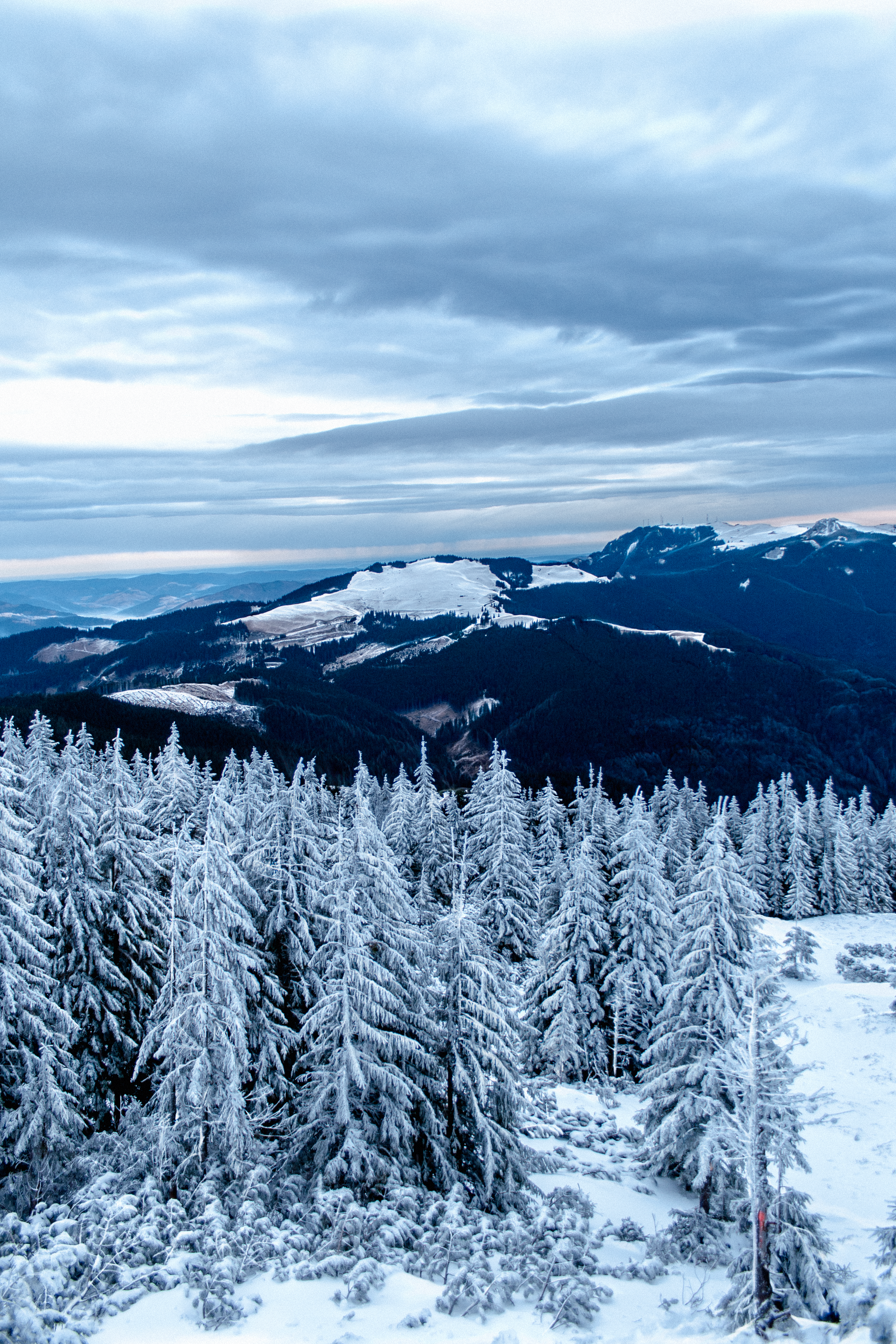 Mountain landscapes. Portrait and still life photographer. Designer, photographer, and illustrator
