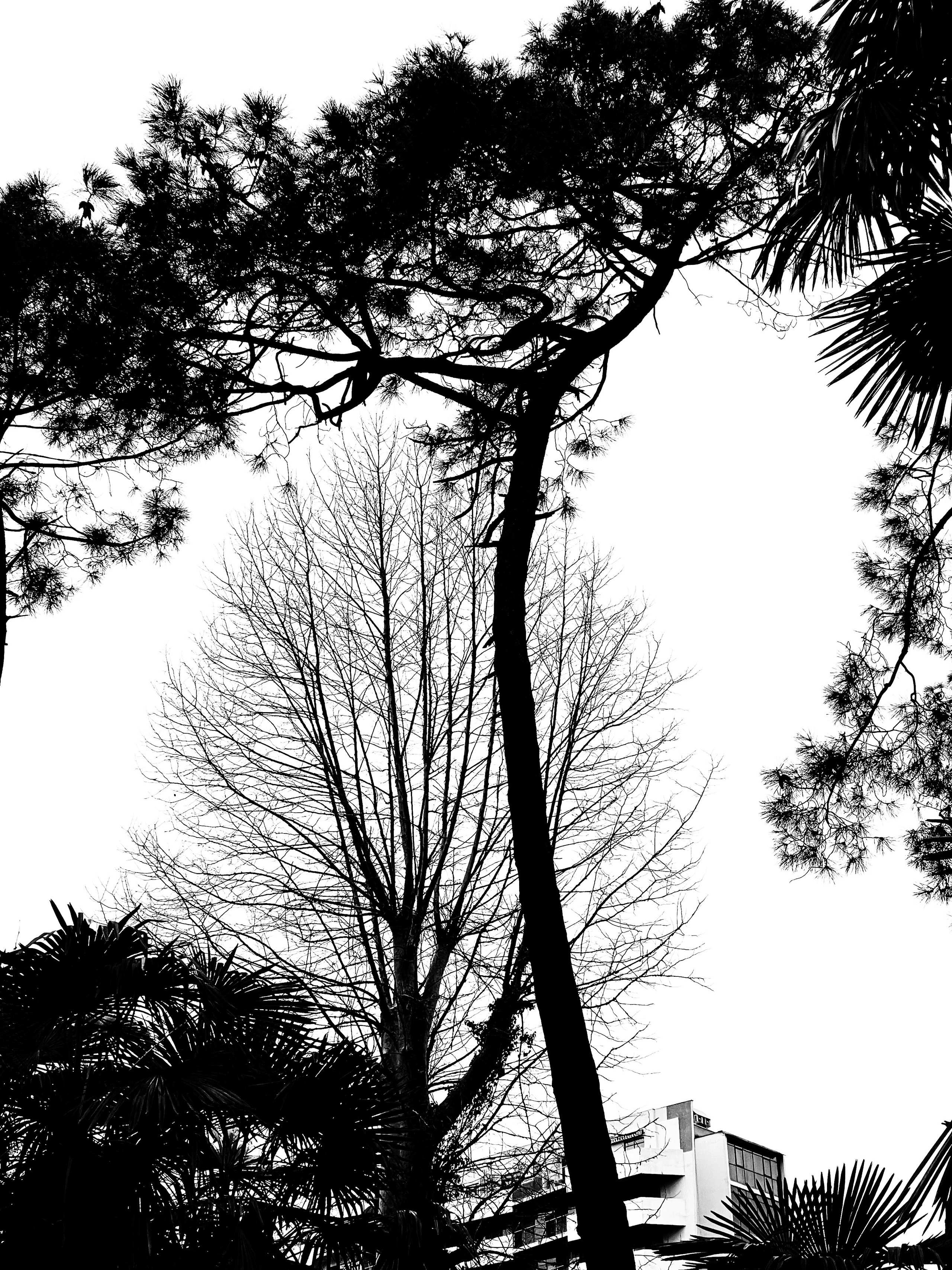 Street photo. Ekaterina Verbitskaya. Photography