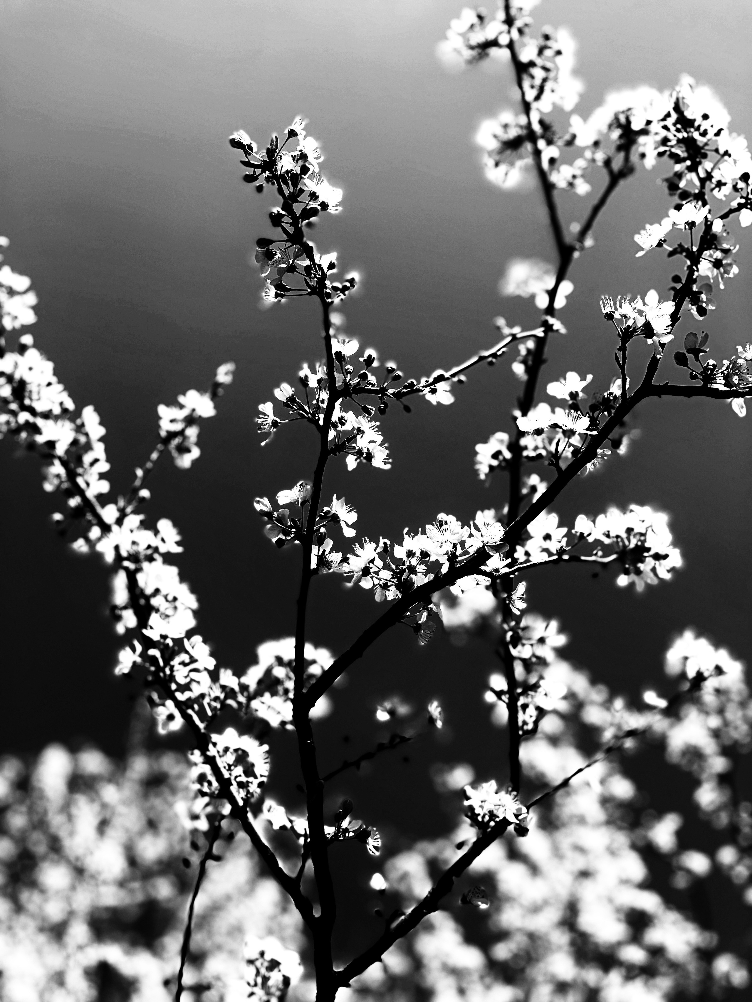 Street photo. Ekaterina Verbitskaya. Photography