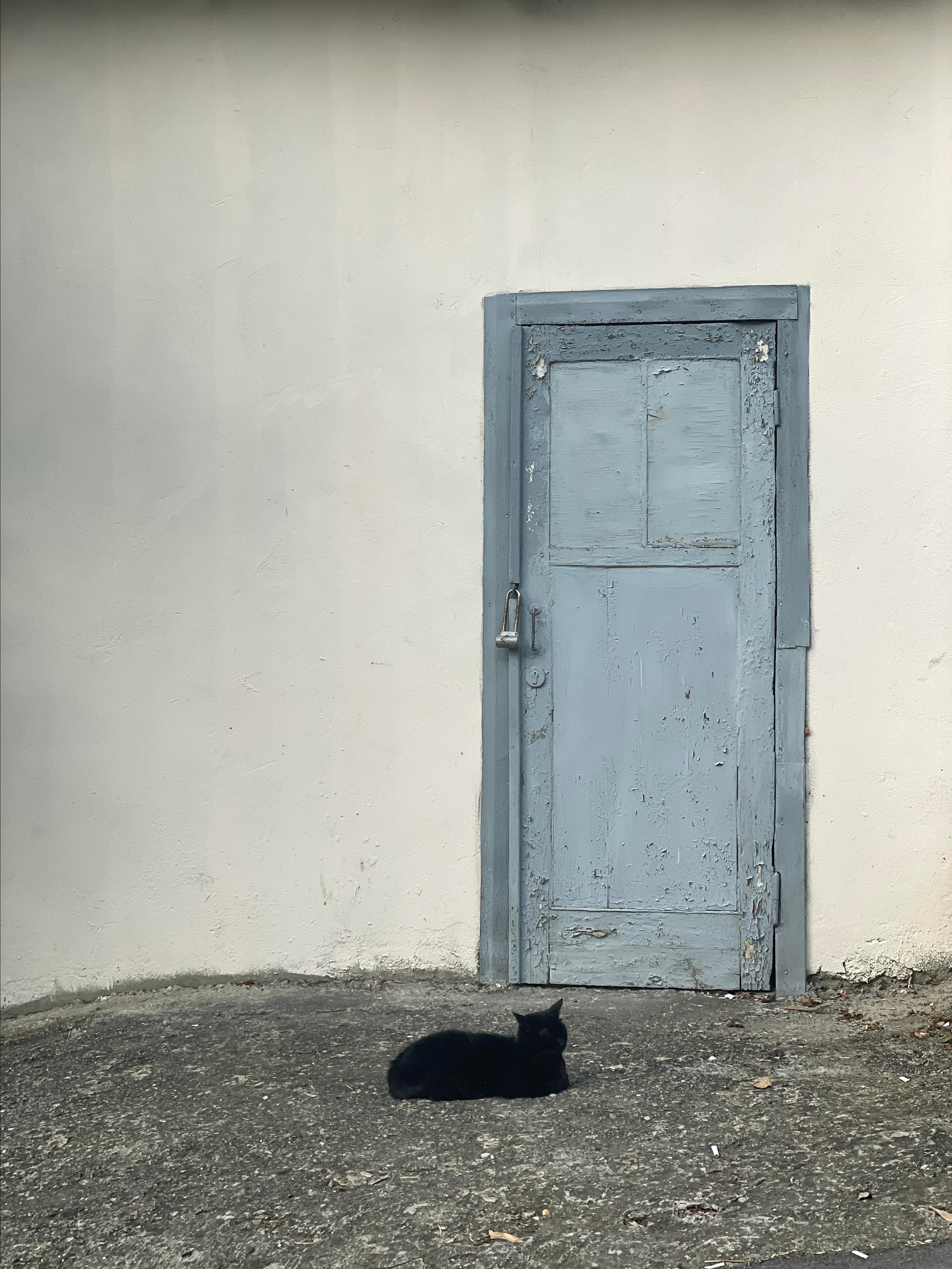 Street photo. Ekaterina Verbitskaya. Photography