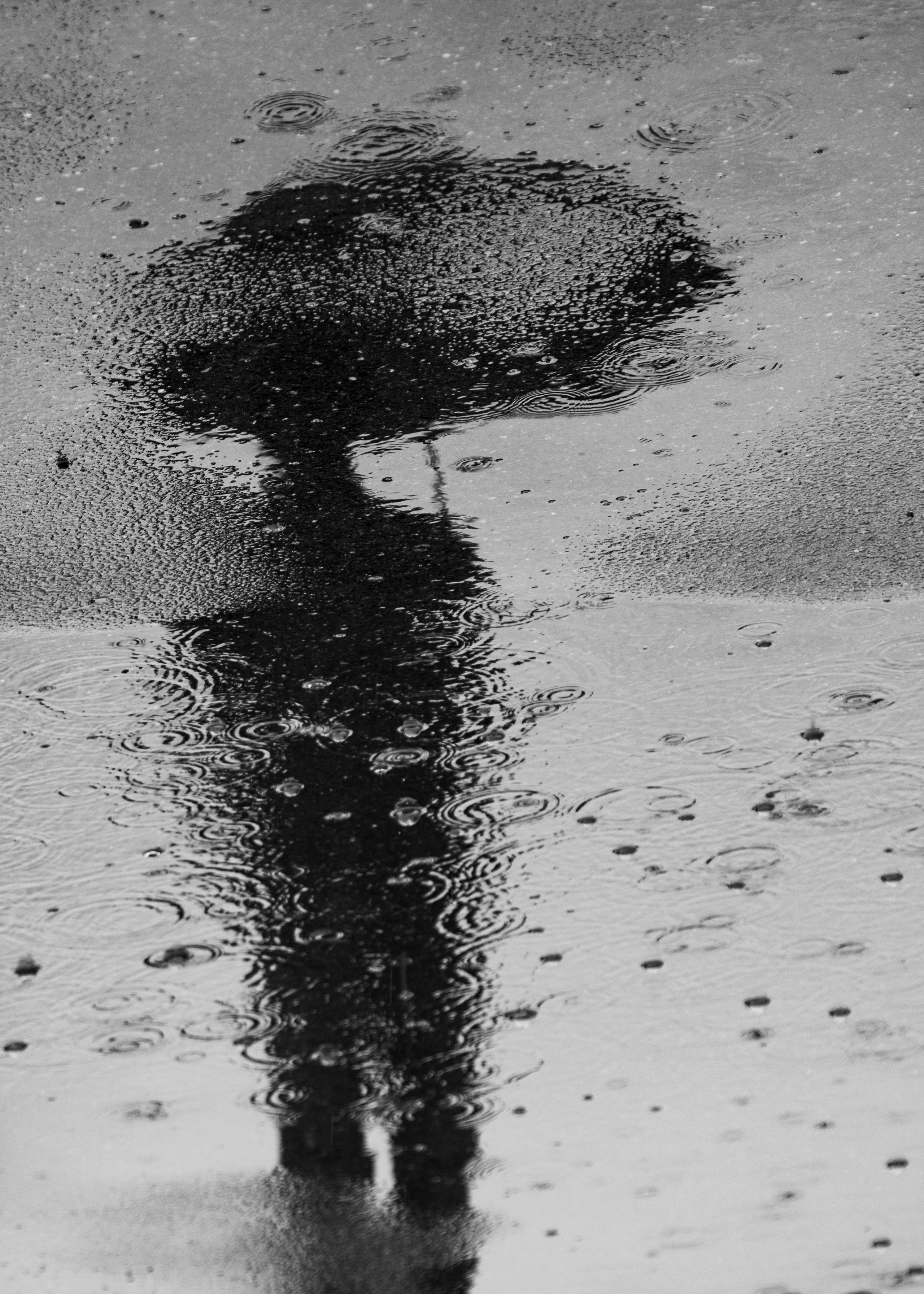 Street photo. Ekaterina Verbitskaya. Photography