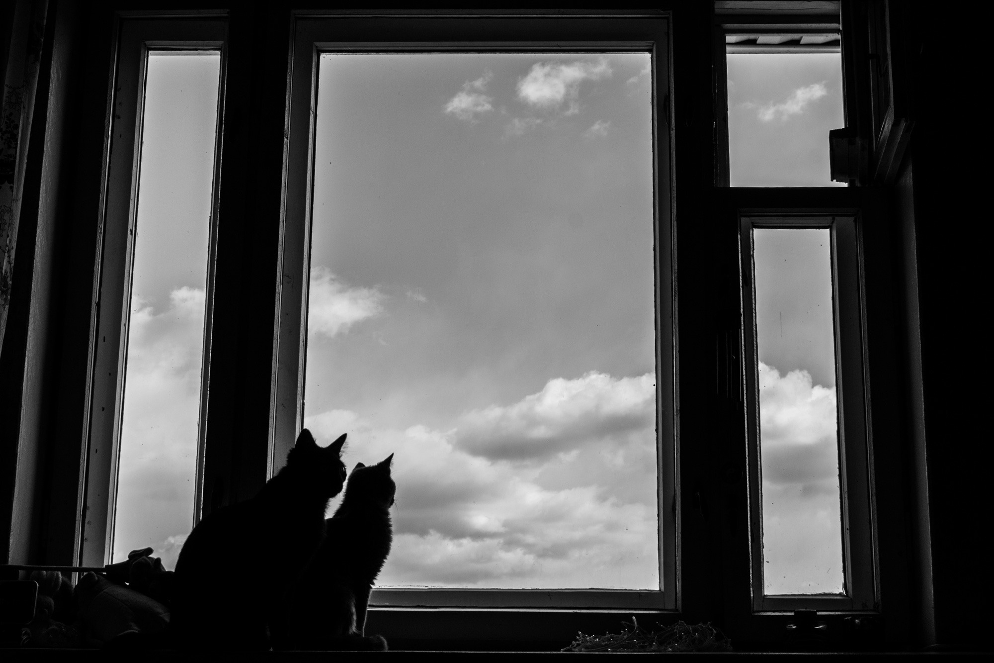 Street photo. Ekaterina Verbitskaya. Photography