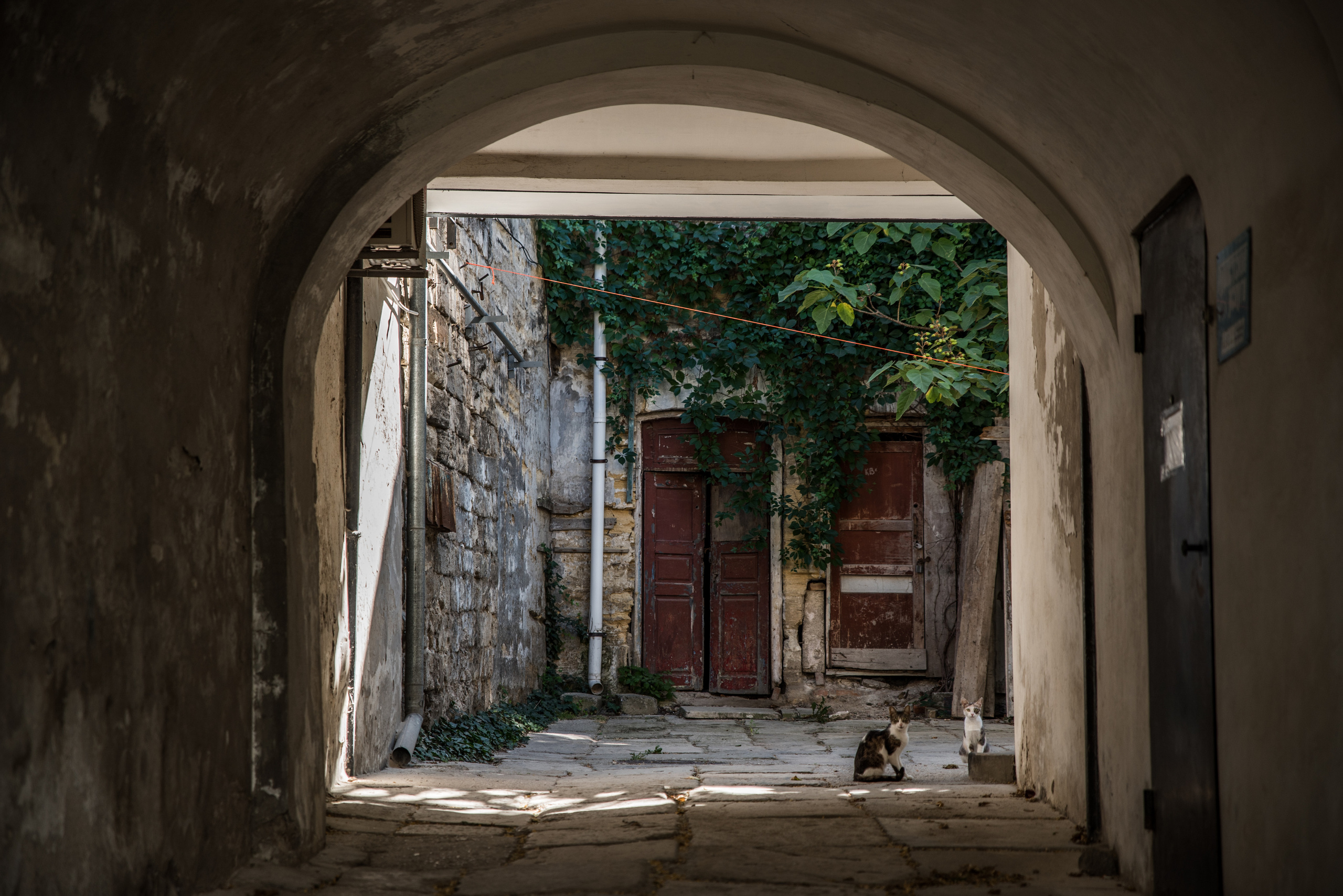 Street photo. Ekaterina Verbitskaya. Photography