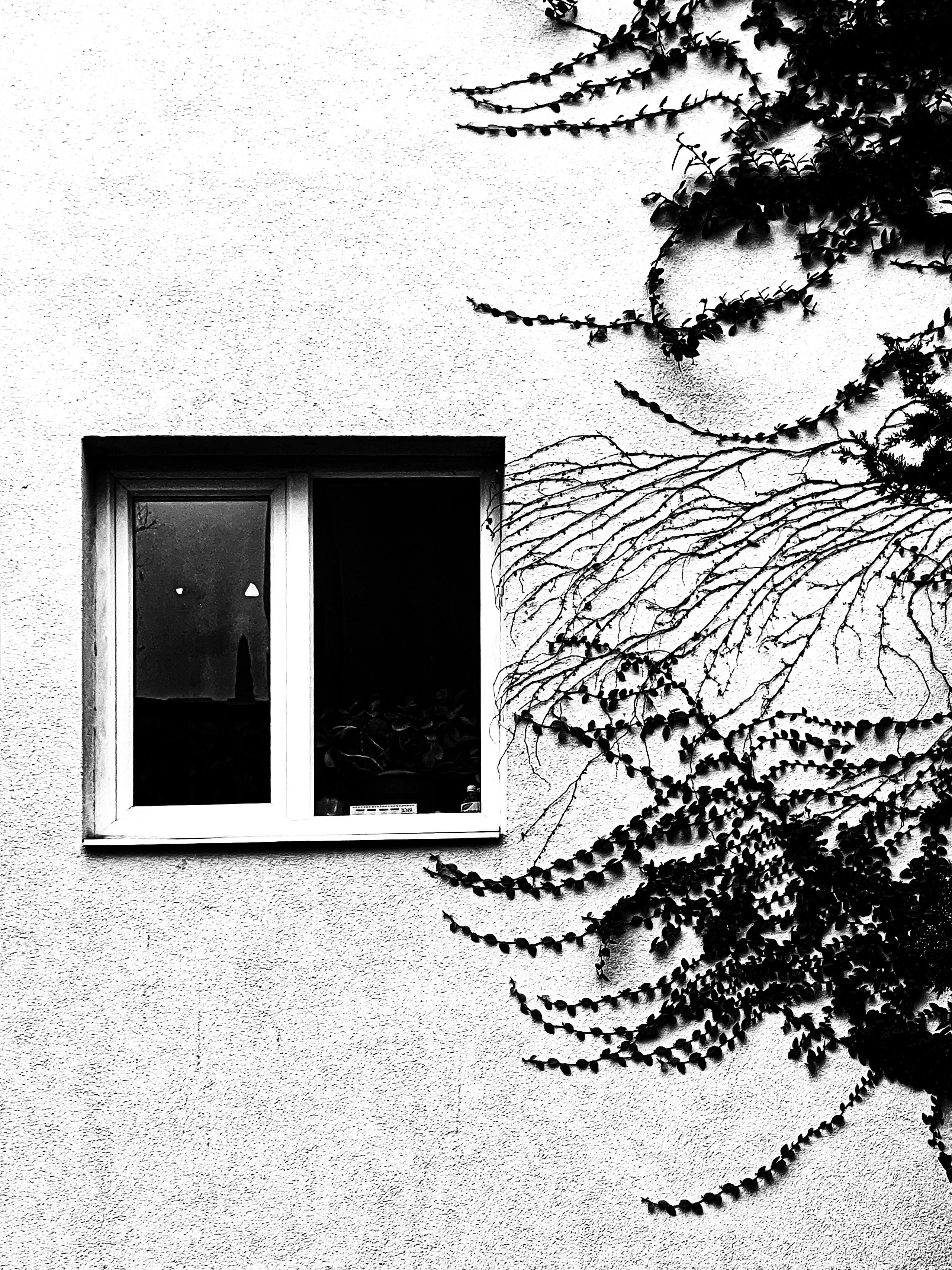 Street photo. Ekaterina Verbitskaya. Photography