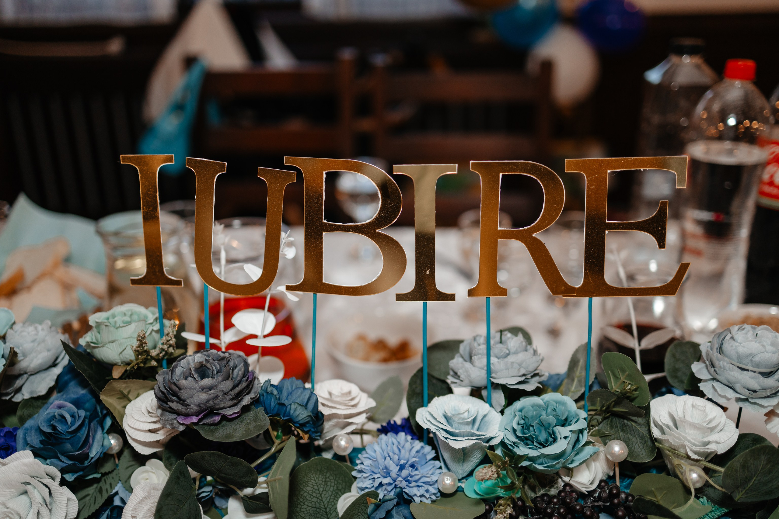 Cezar-Nicholas. FotoACTIV.ro-Your Image matters