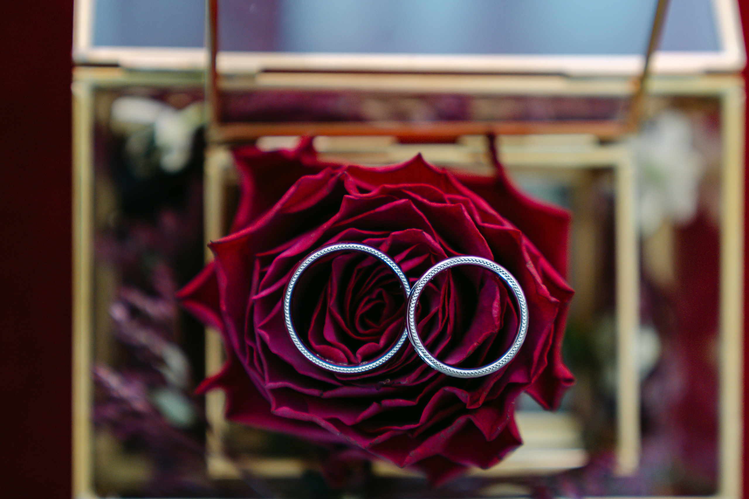 Paula & Calin. Gabrielacojocariu.com