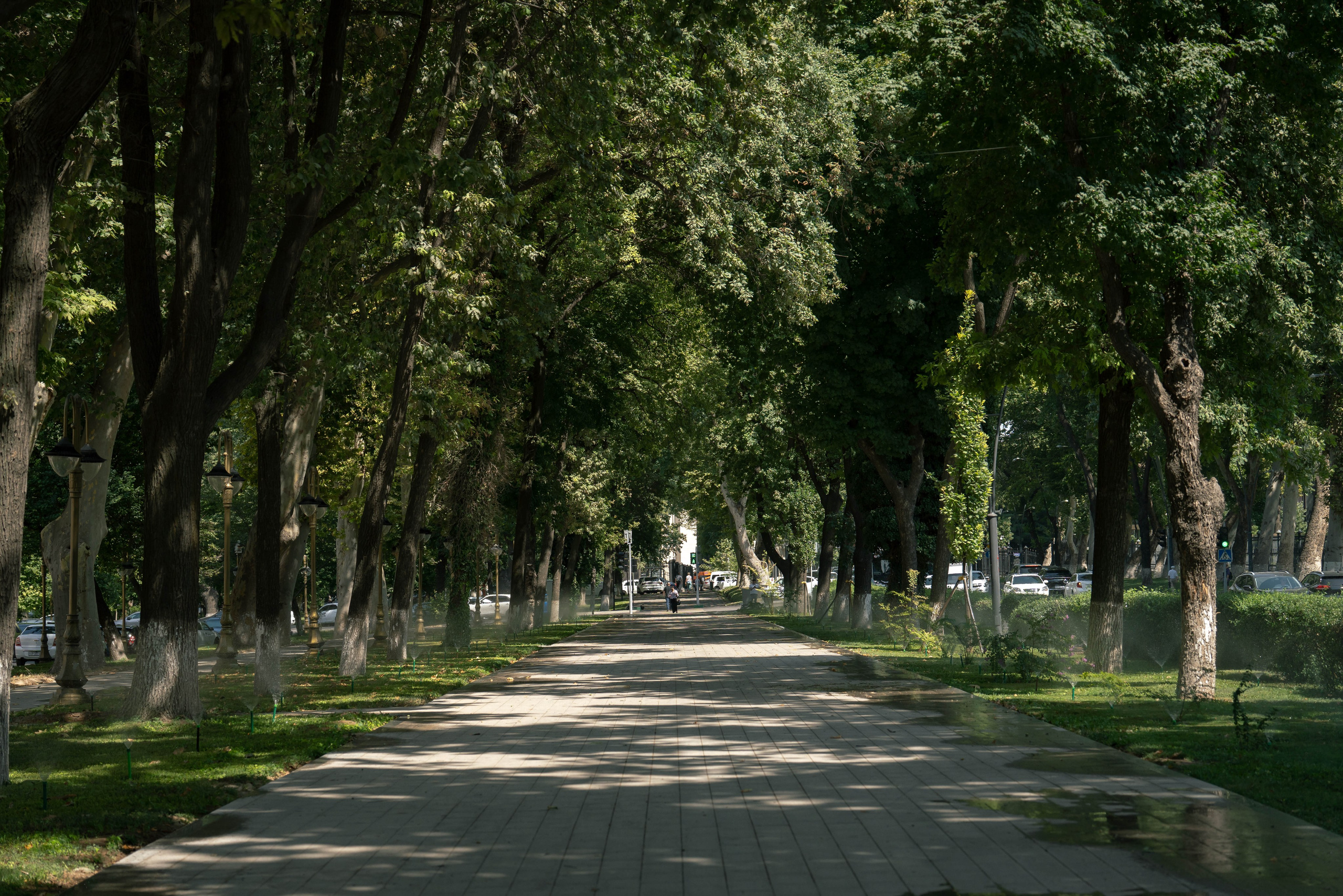 Жара