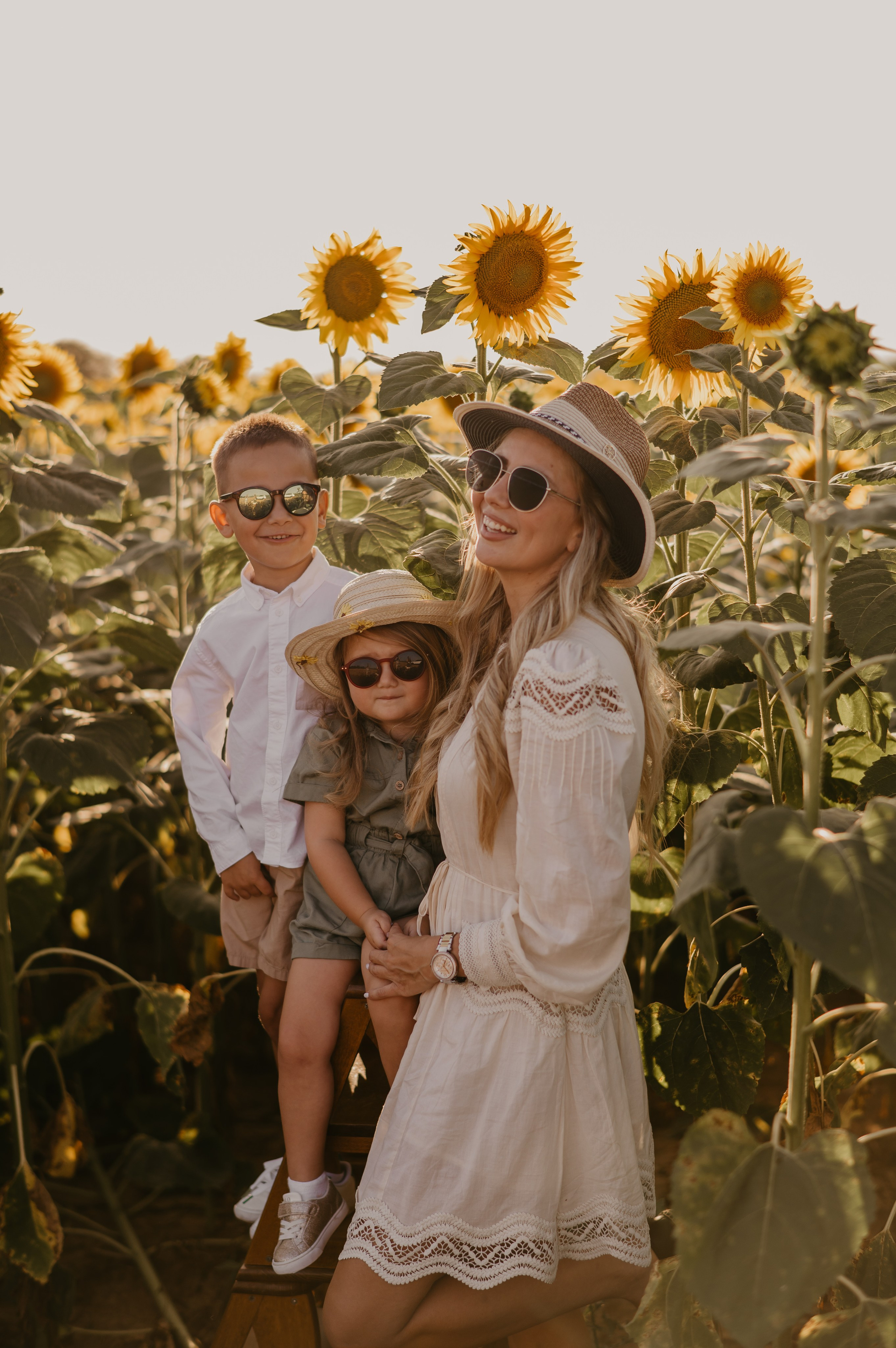 Polje suncokreta. Ana Sladojevic