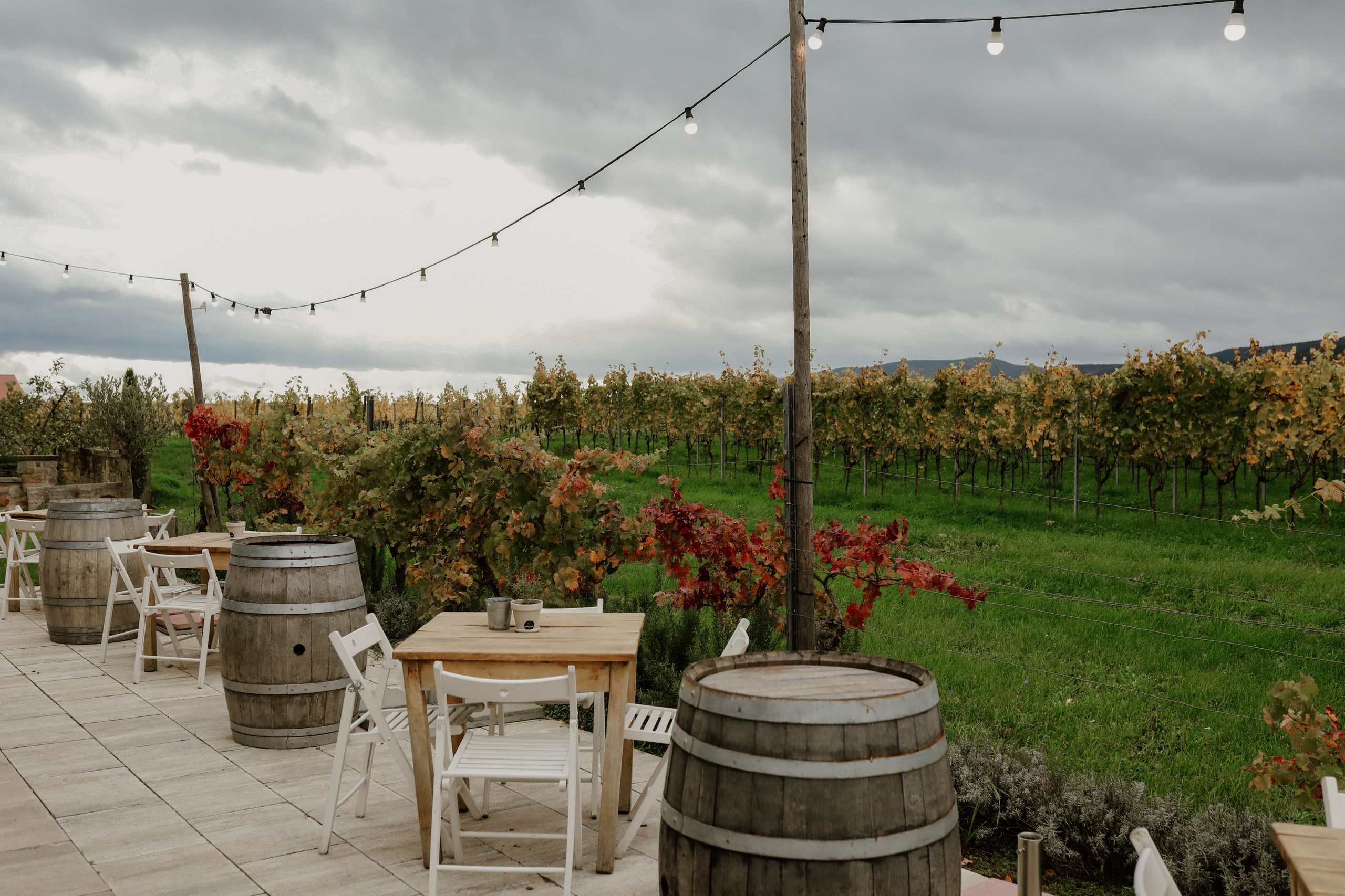 „Freie Trauung im Freien nahe Neustadt – natürliche Hochzeitsreportage Pfalz“