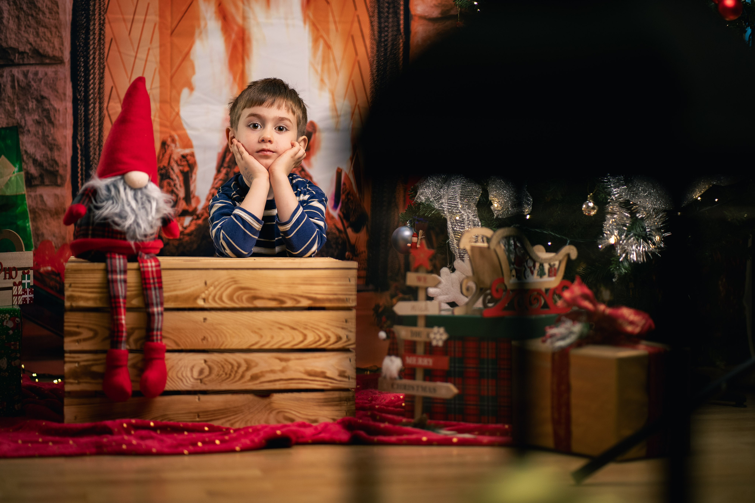 Sedinta foto Craciun — Gradinita Miniterra. Liviu Andrei - Fotograf