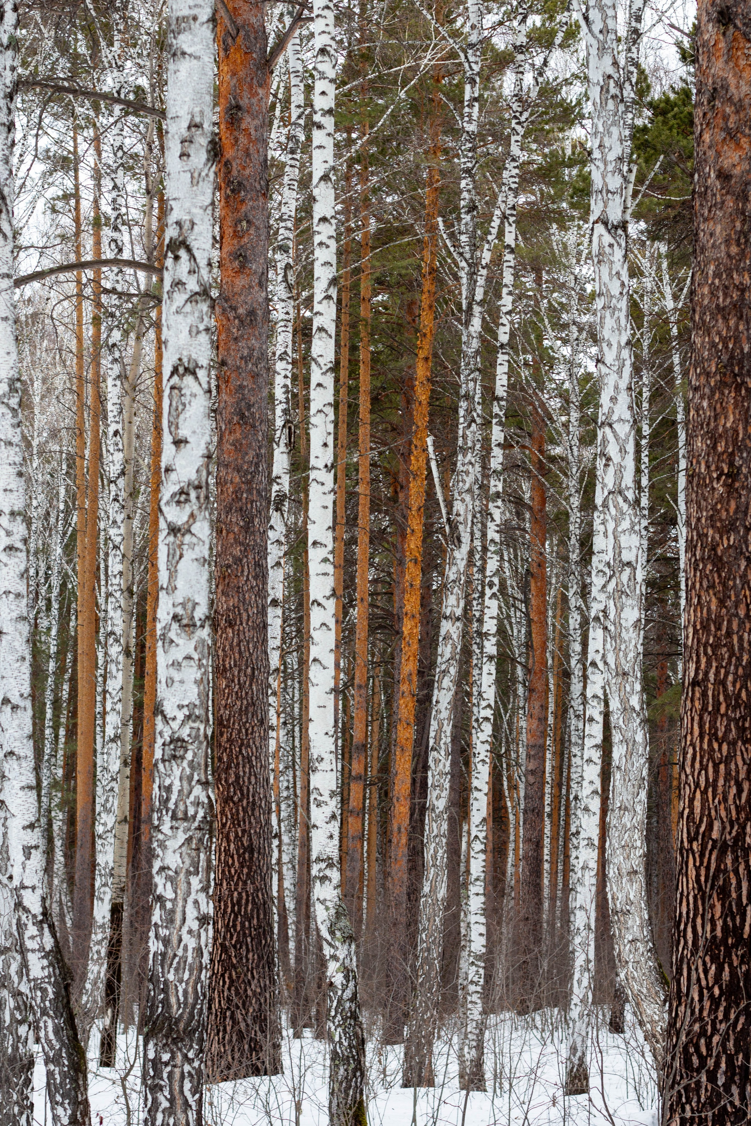 Russia. Look Around You