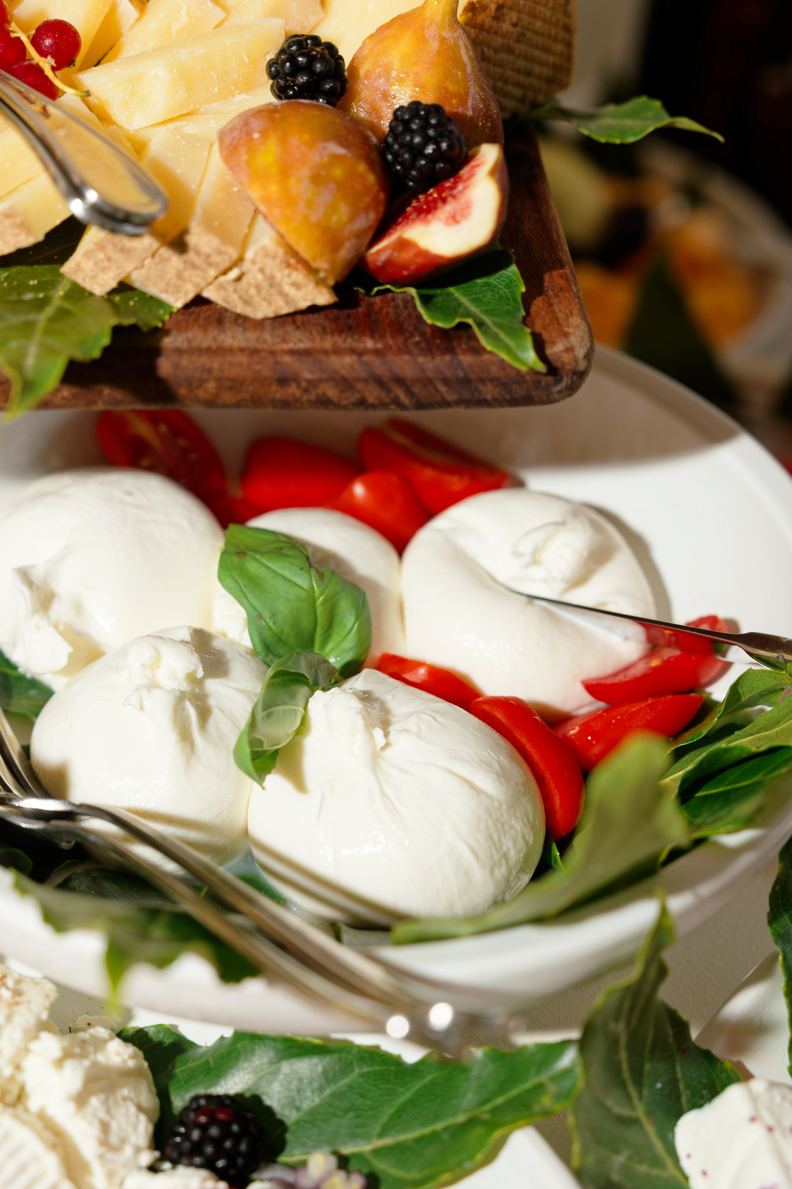 Wedding at Villa Carminati Resta on Lake Como