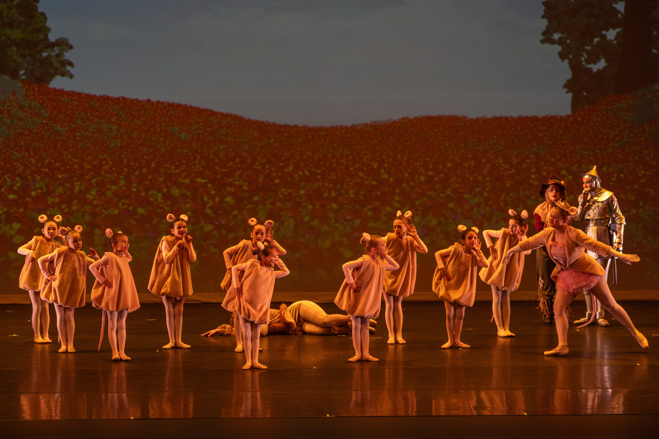 Ballet Photographer Los Angeles. Santa Clarita Photographer