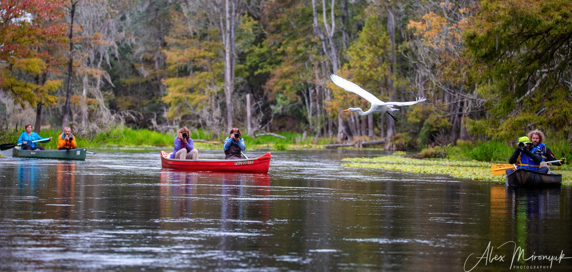 Exploring True Florida: Springs, Rivers & Manatees by Canoe. Pet, Senior, Landscape, portrait studio, photographer in Miami and Sou