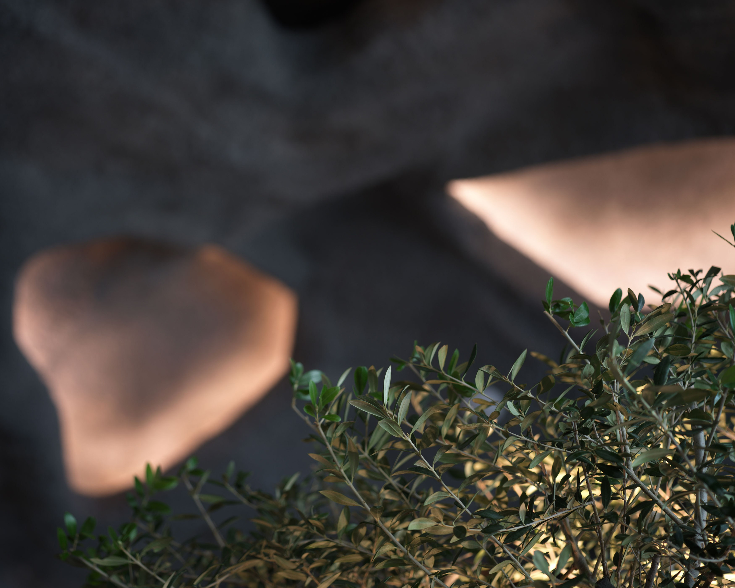 Places to visit in Abu Dhabi — CAVE Cafe. Sergio Russo — TOP Wedding Photographer in Dubai