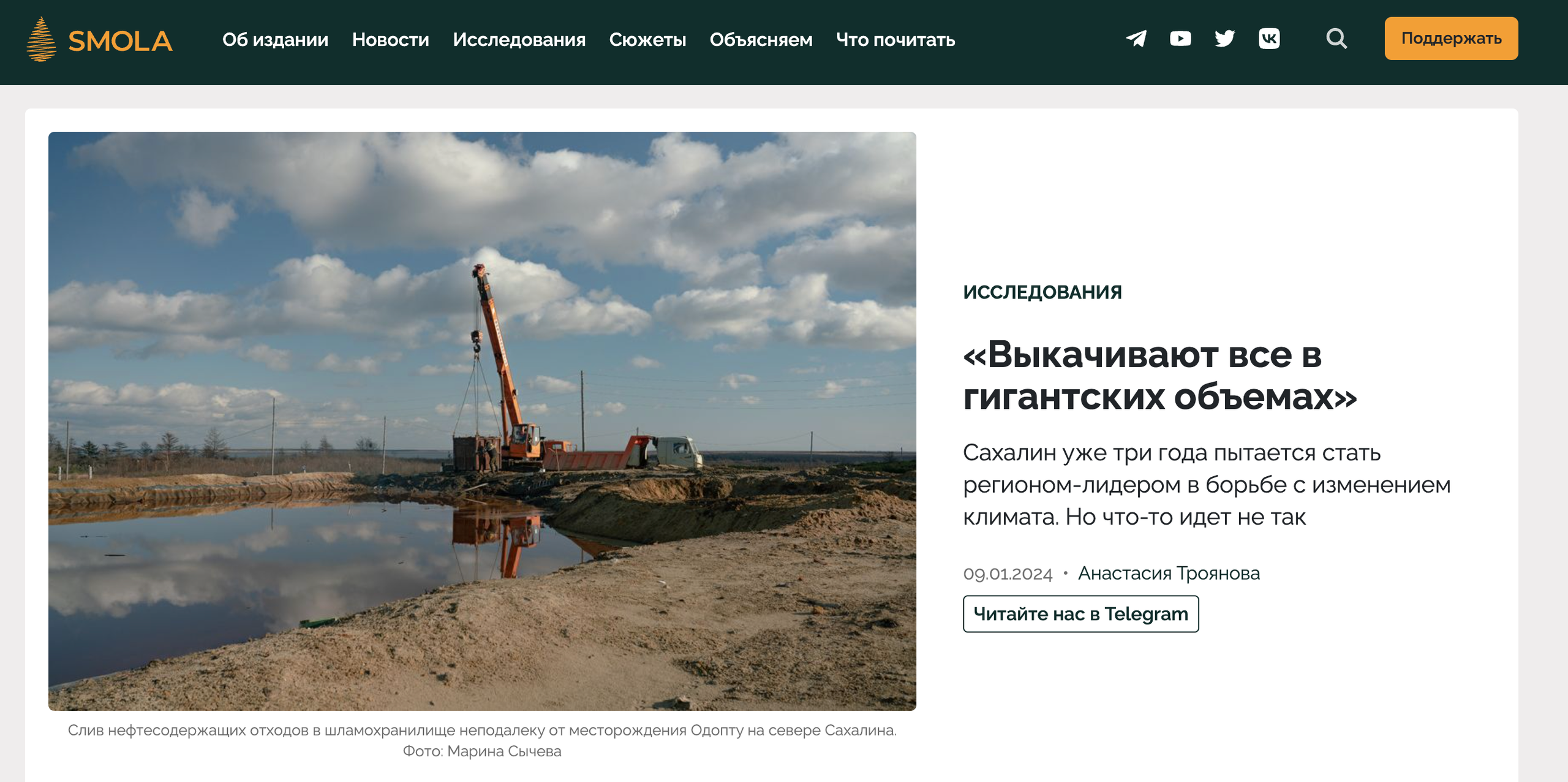 Publications. Marina Sycheva