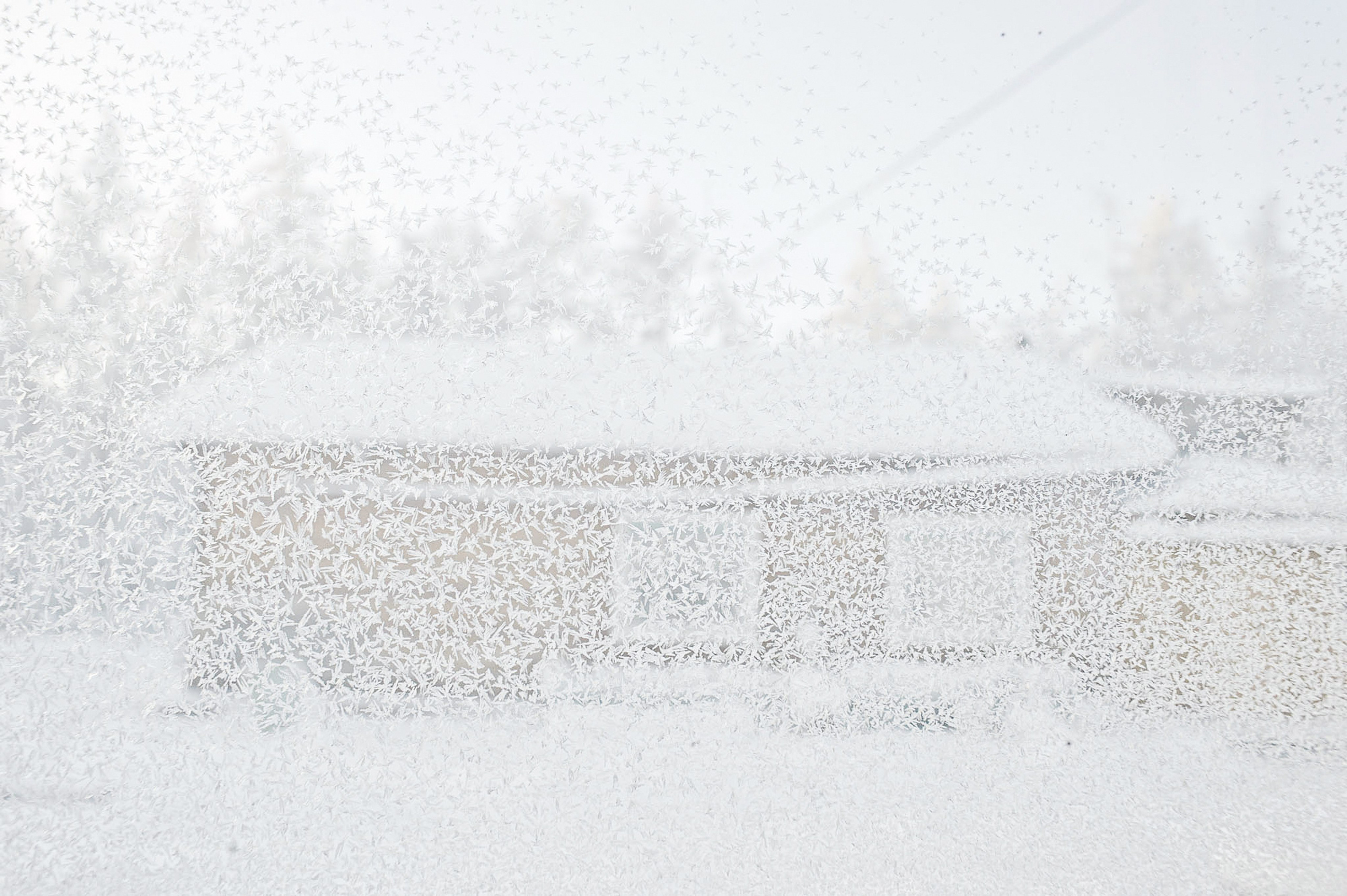 La meilleure saison. Ayar Kuo