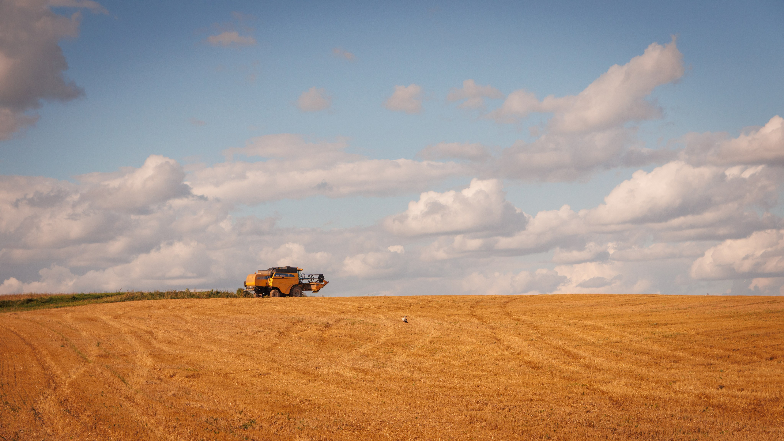 Landscape. Portrait and Street photographer in Vilnius Edgar Shaipunas