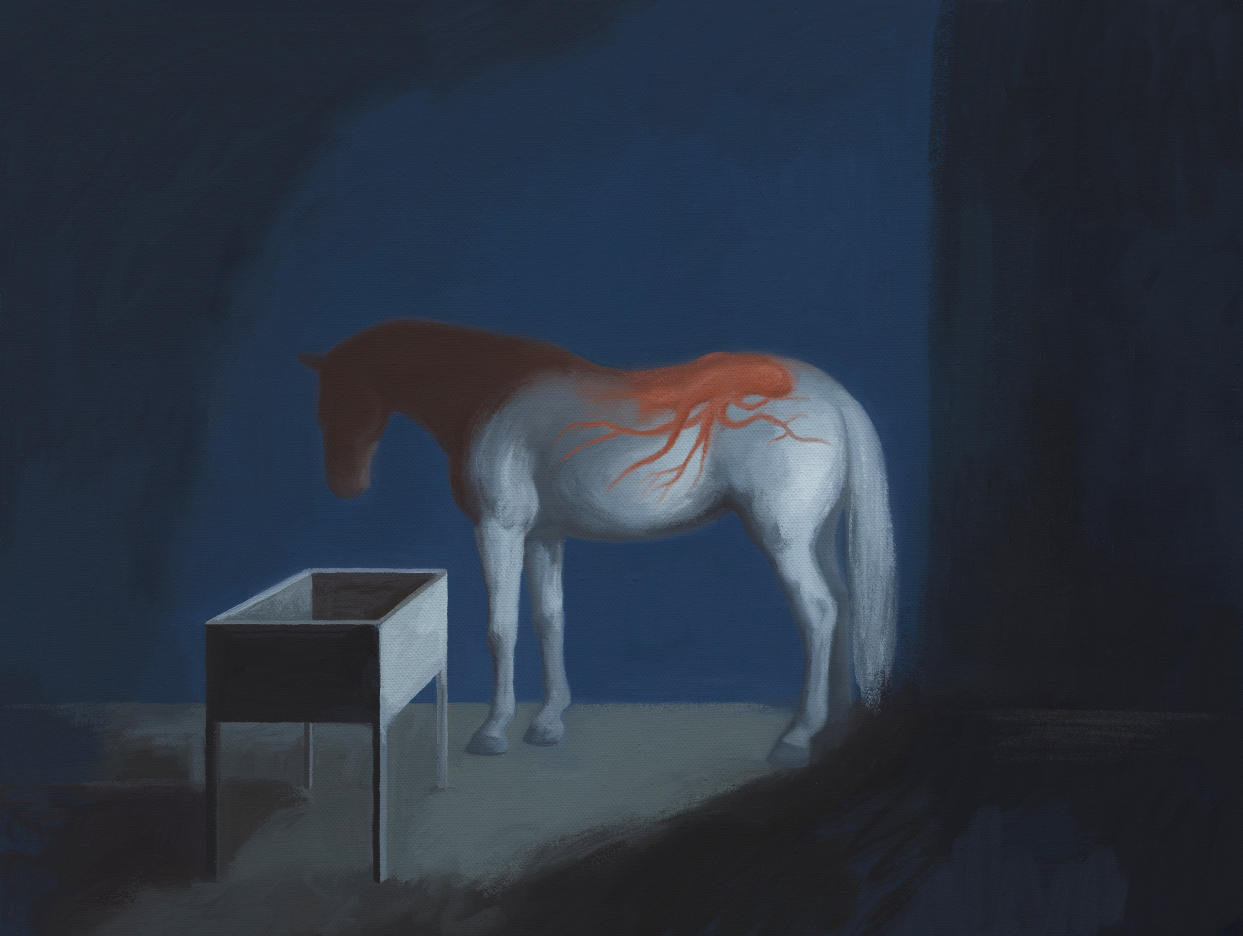 Horse Hospital. Marina Antonova