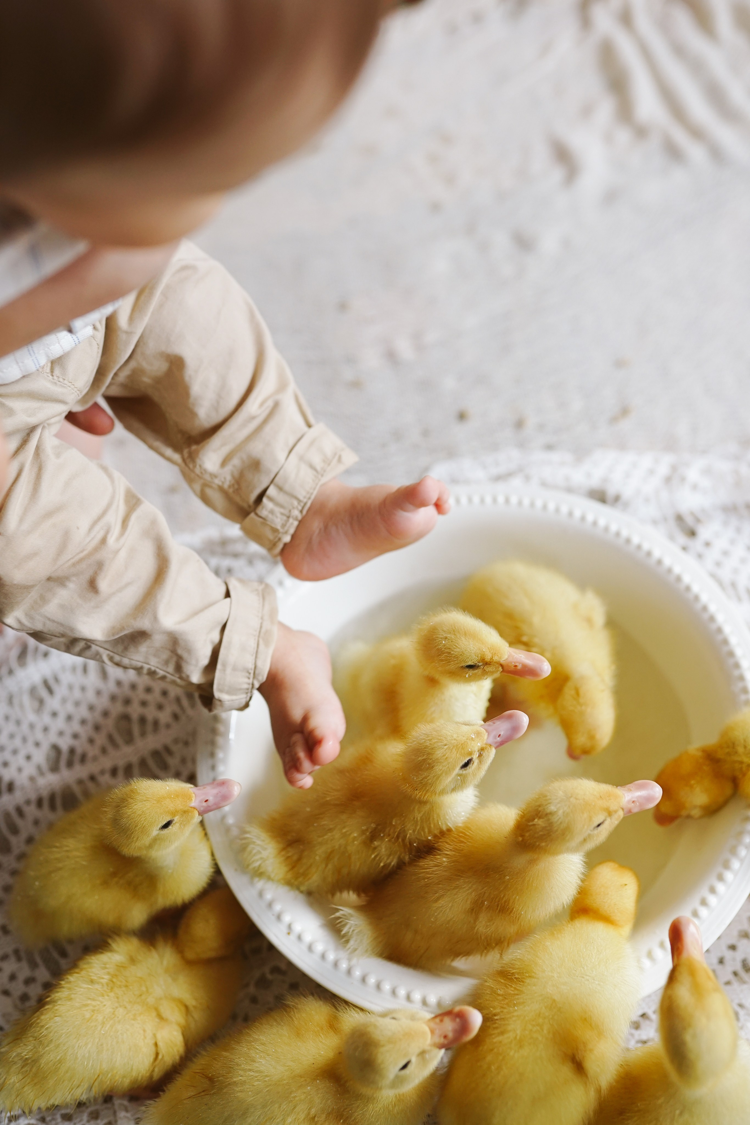 Ședințe Foto de Paște Brașov: Gălbenuș | Mădălina Beda. Madalina Beda- Artist vizual, fotograf, doula la nastere, consultant babywearing Brasov si in toata tara