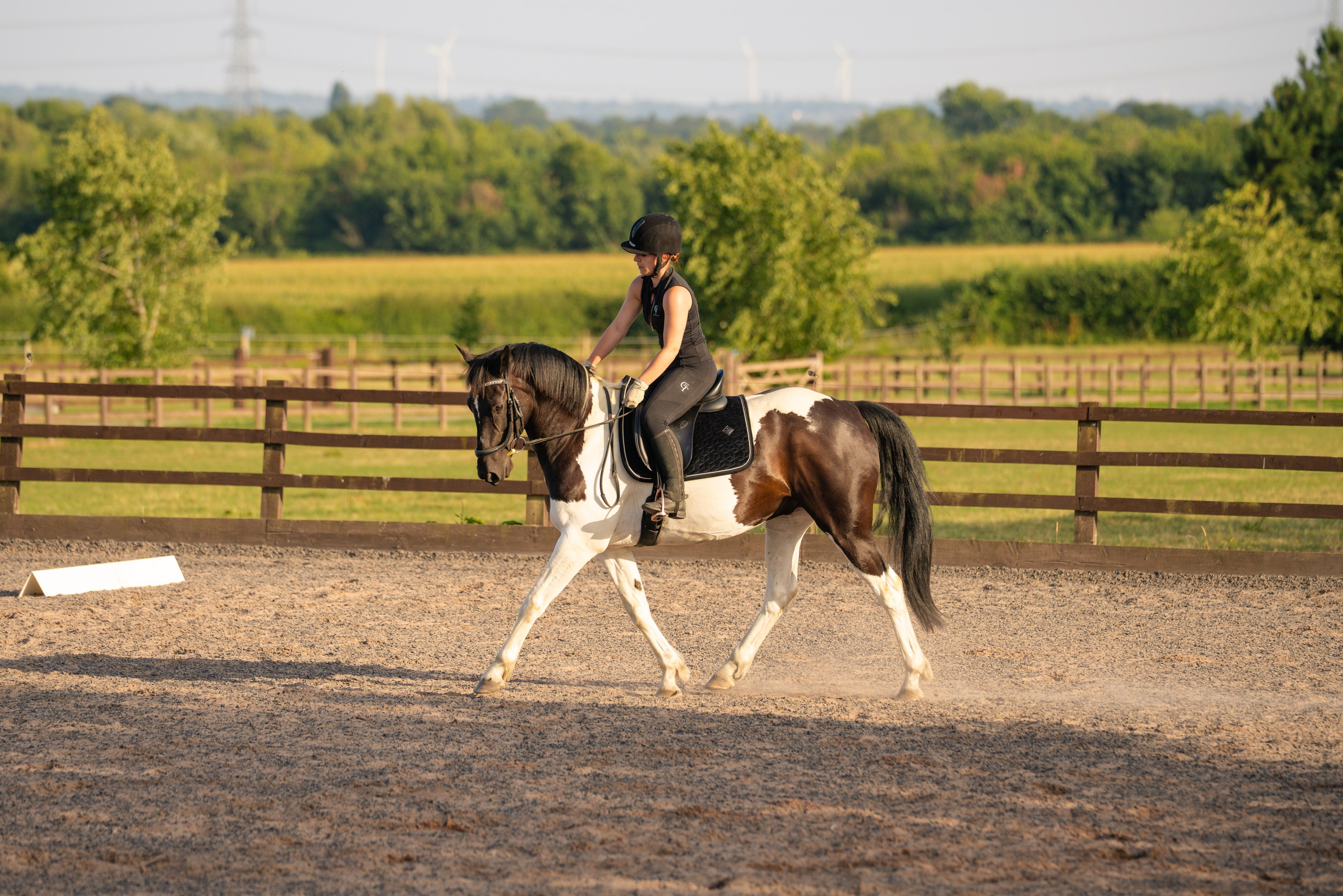 Show Jumping Photography in Leicestershire | Equine Action Shots by El. Leicestershire Equine Photography by El | Authentic Equine Portraits & Events