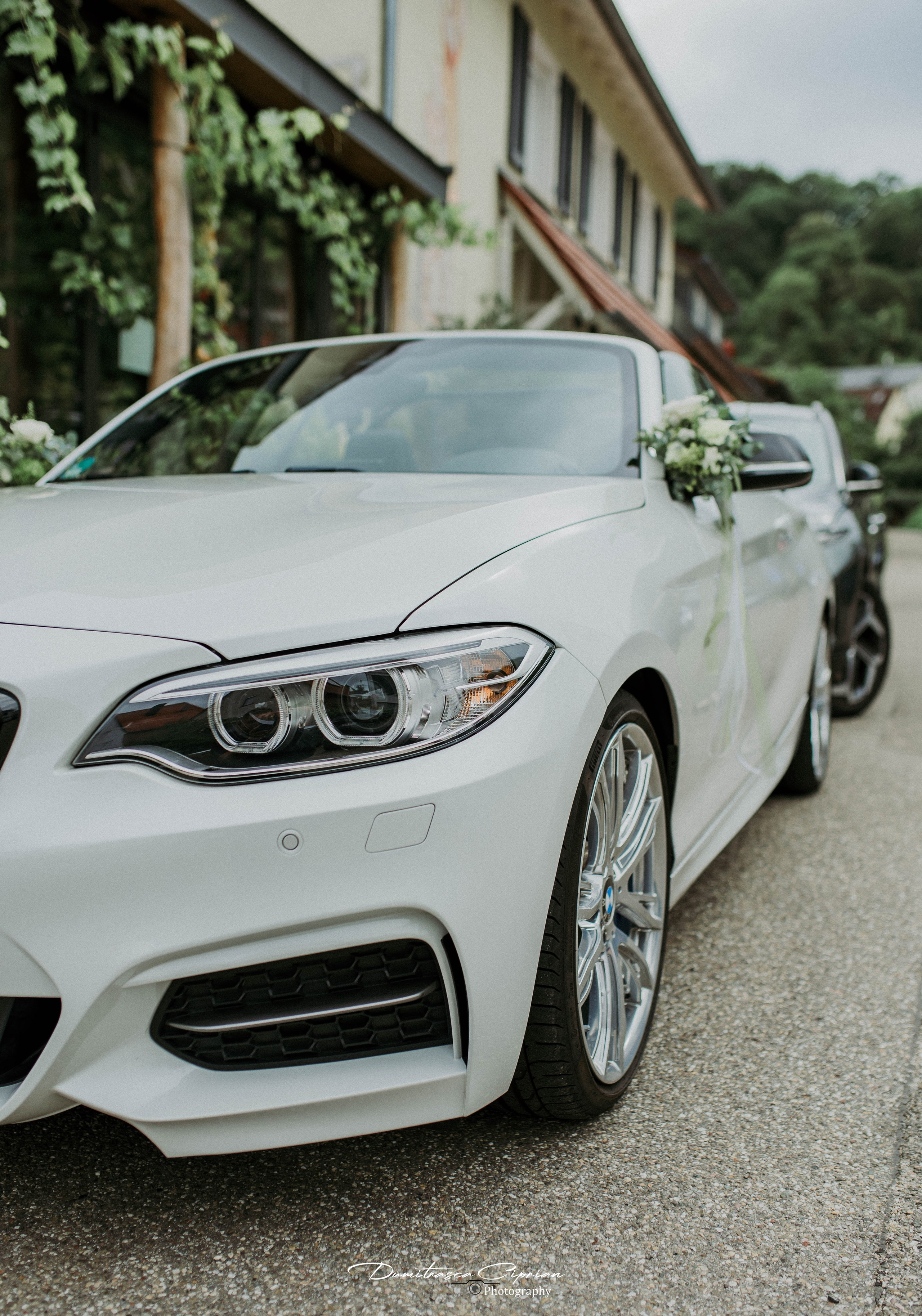 Markus&Larisa. Dumitrasca Ciprian Photography