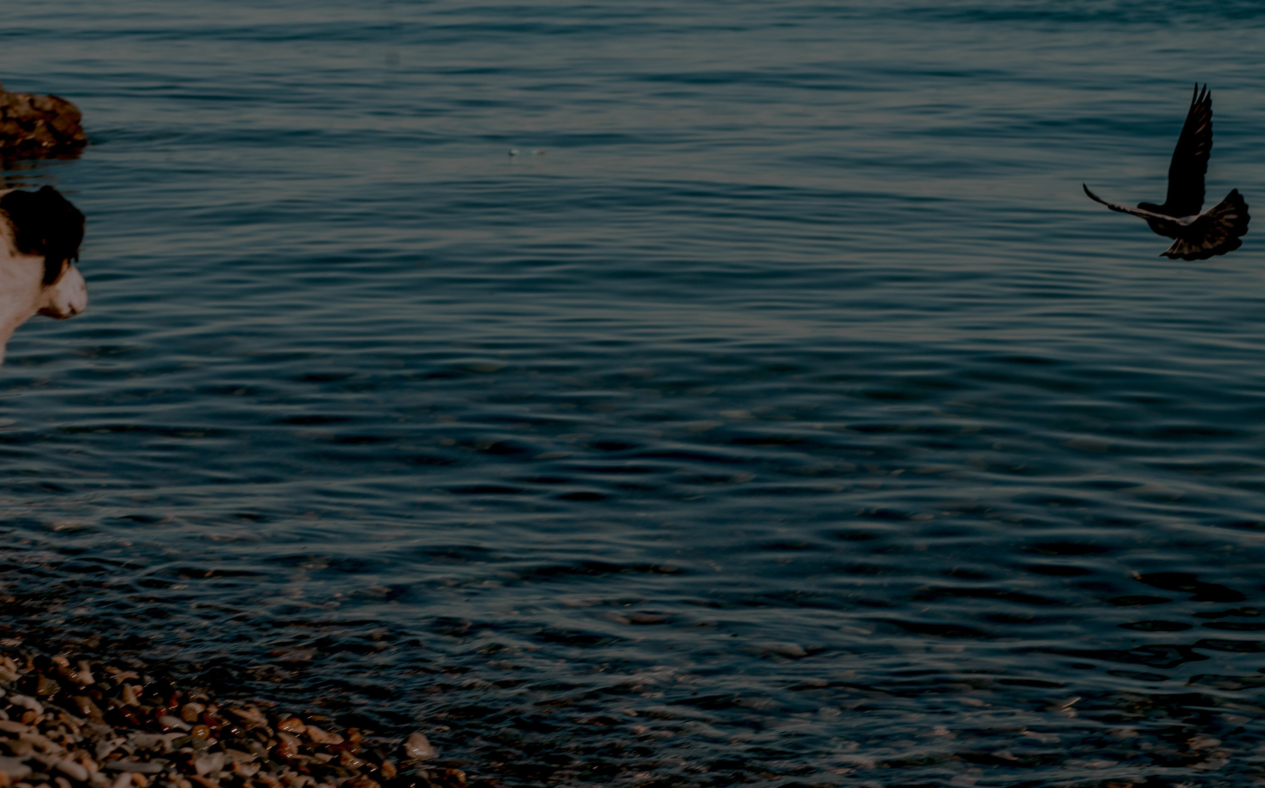 Georgia, Batumi. Art Photographer