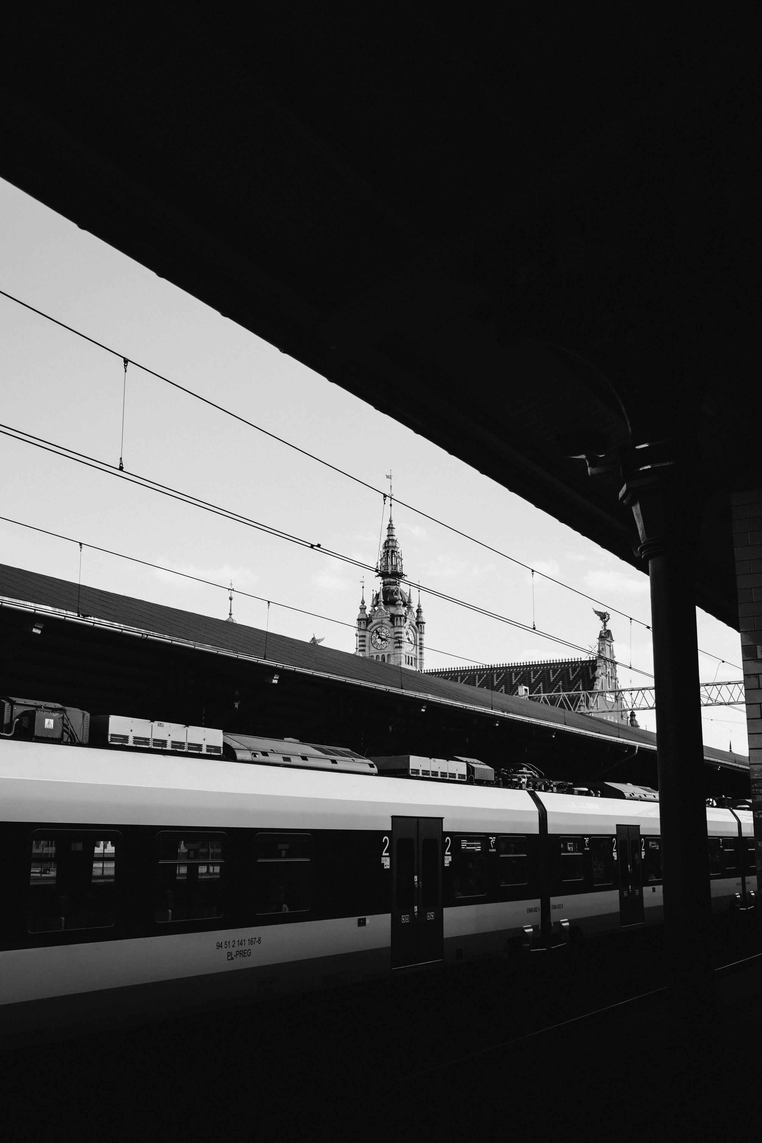 Roaming. Mike Avelli