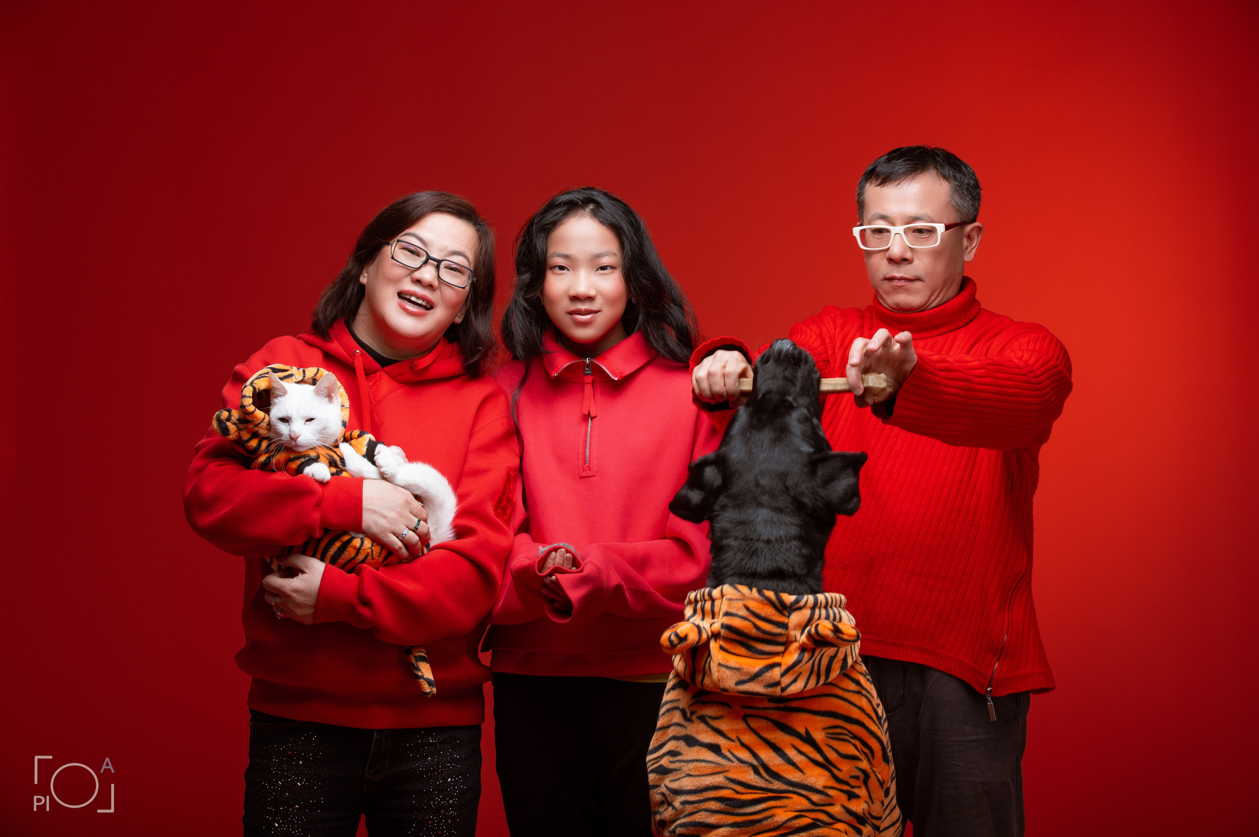 Friendly family: Photo shoot with pets in the studio. Photographer in Shanghai — Lola Pidluskaya