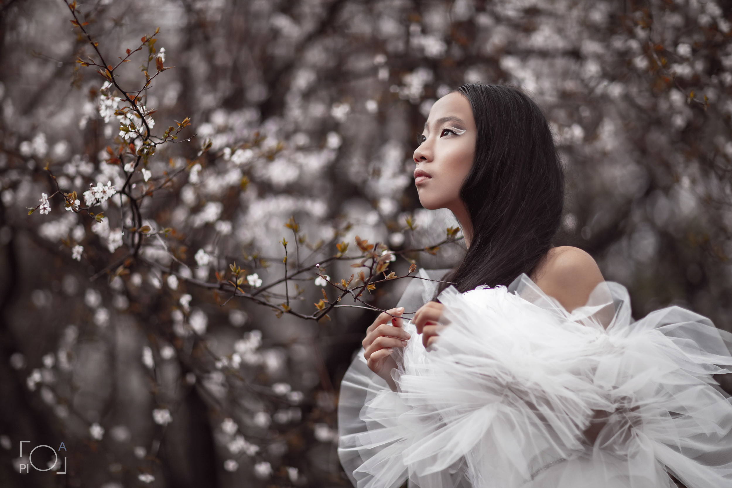 Цветение сакуры в Шанхае: Романтическая фотосессия в дождливый день. Фотограф в Шанхае — Лола Пидлуская